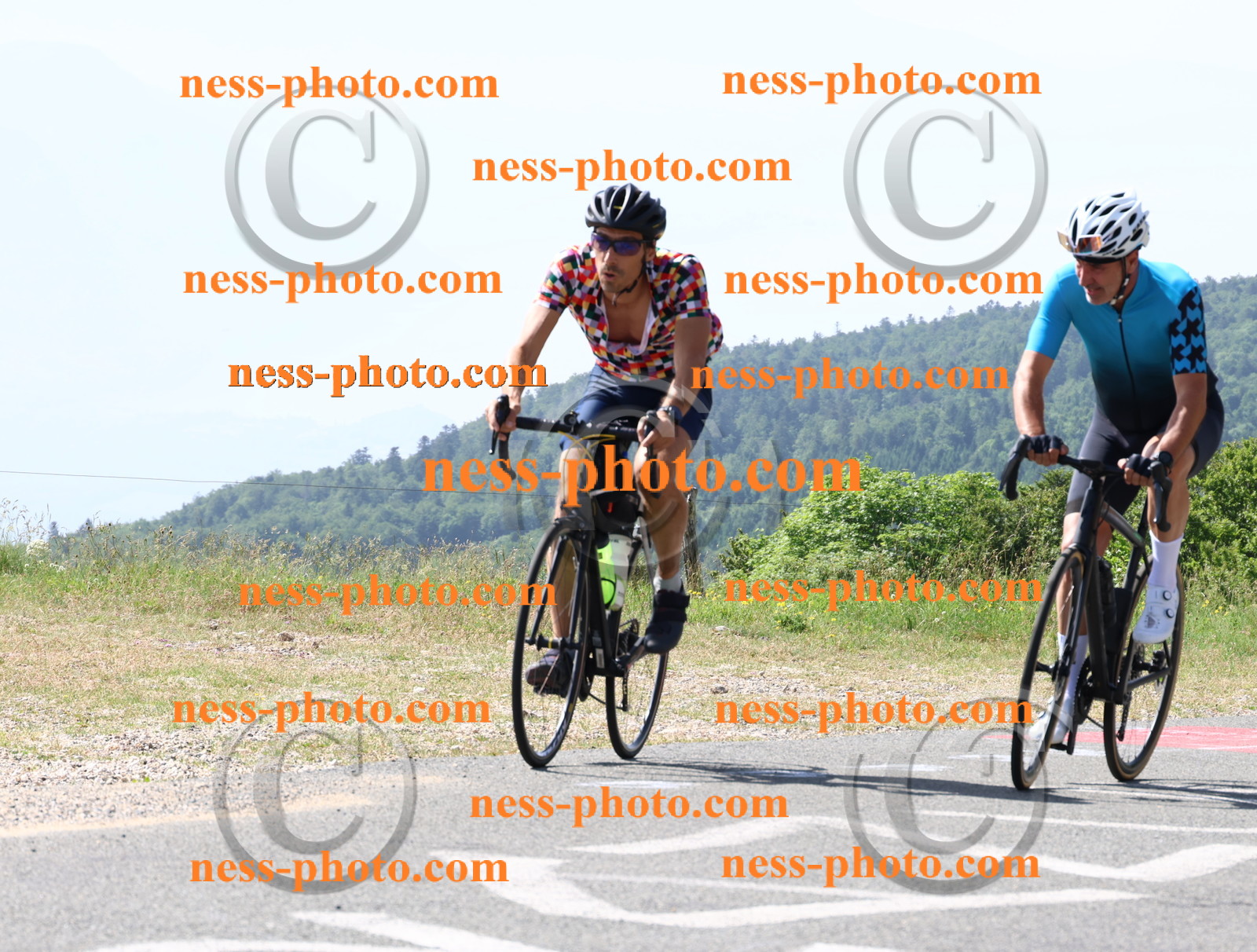 Col du grand Colombier (856).JPG