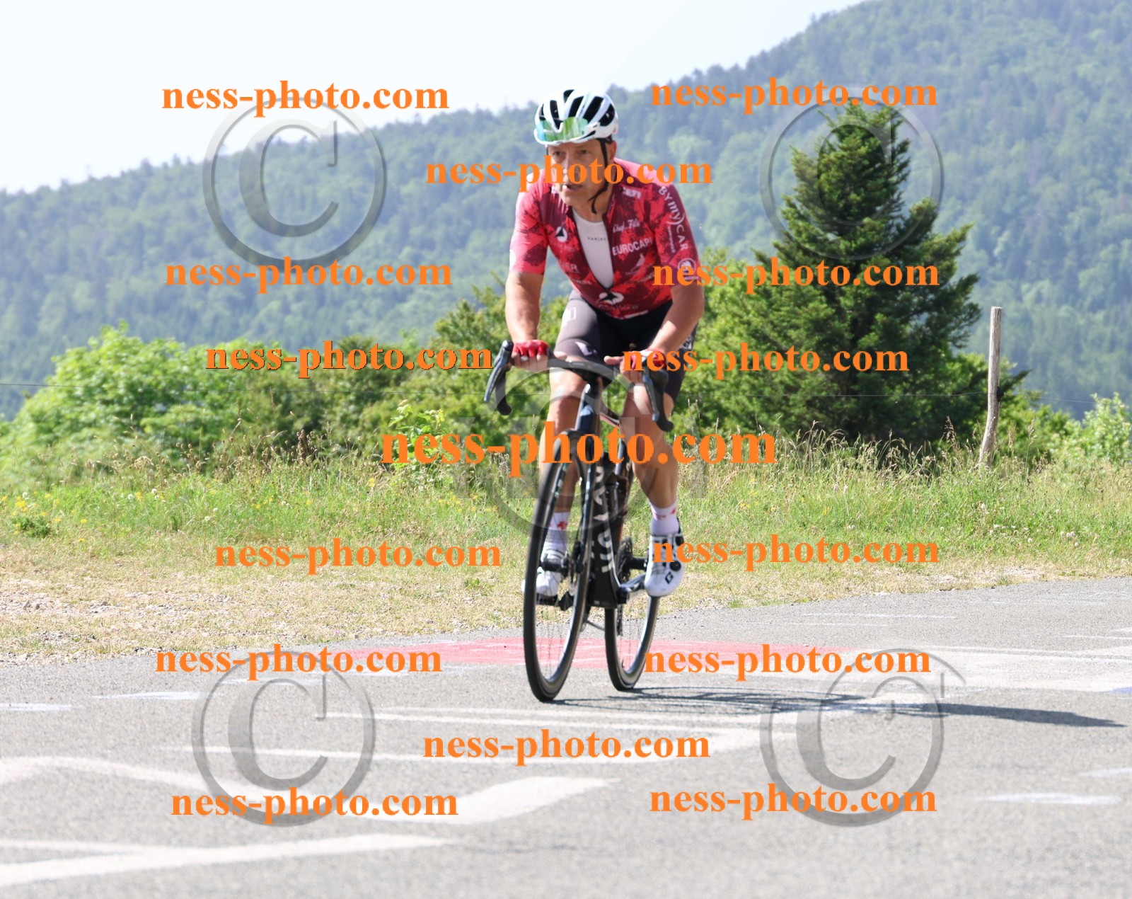 Col du grand Colombier (756).JPG