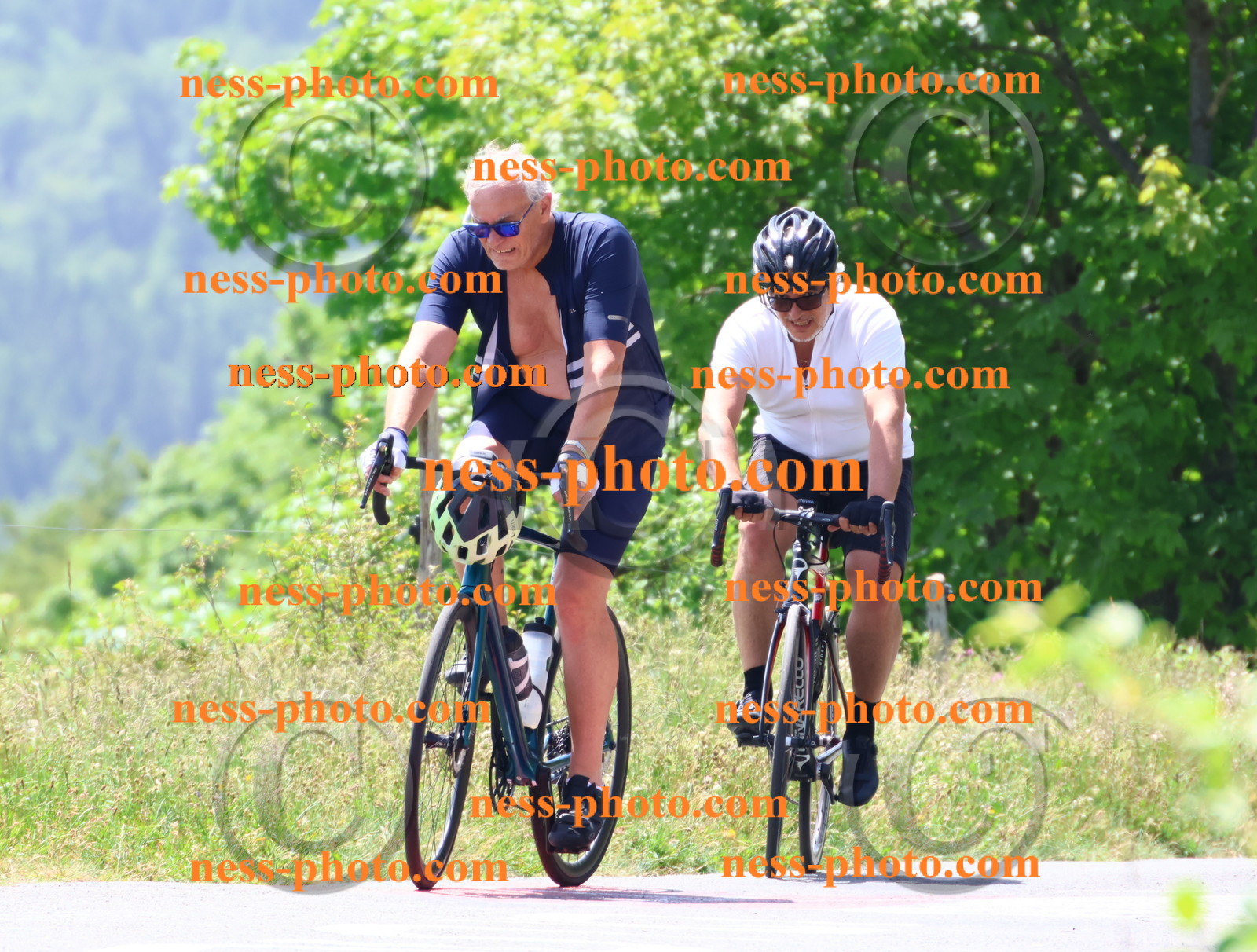 Col du grand Colombier (2641).JPG