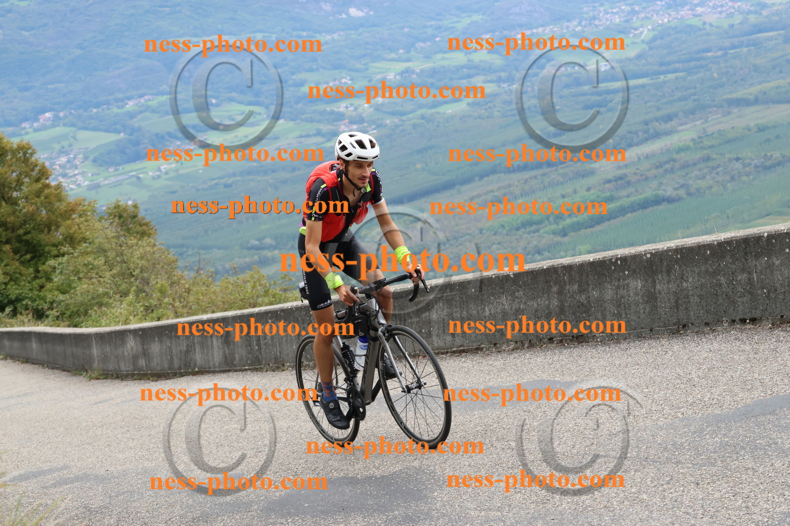 Col du Grand Colombier (2479).JPG