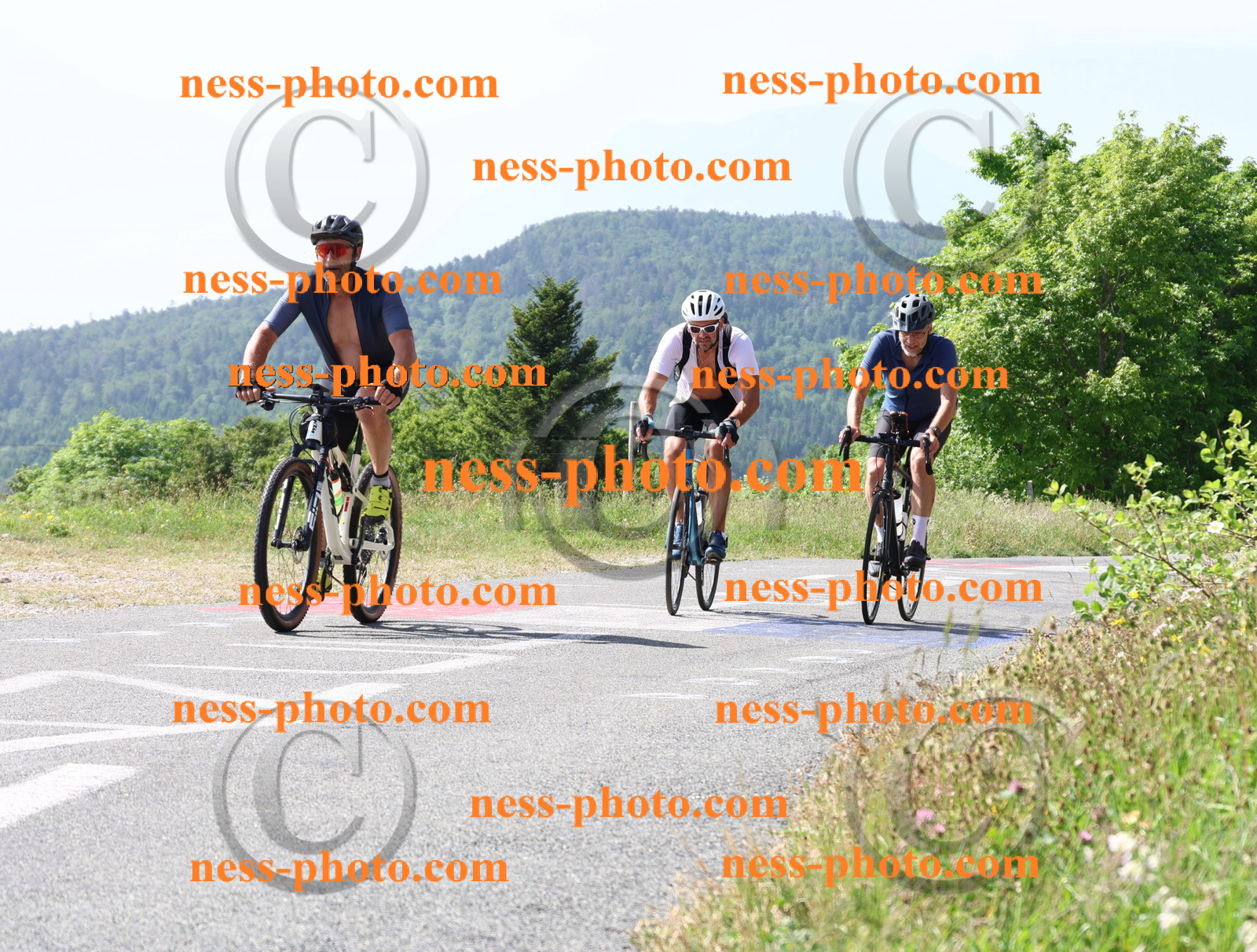 Col du grand Colombier (735).JPG