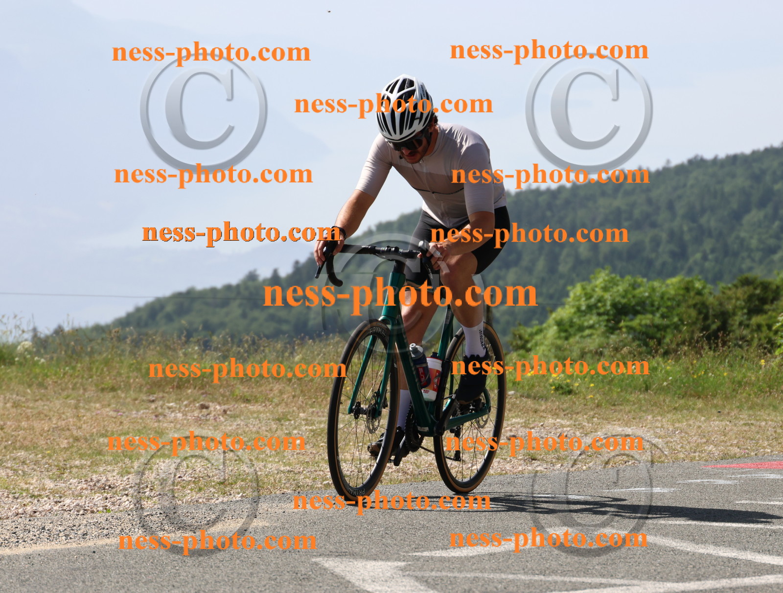 Col du grand Colombier (671).JPG