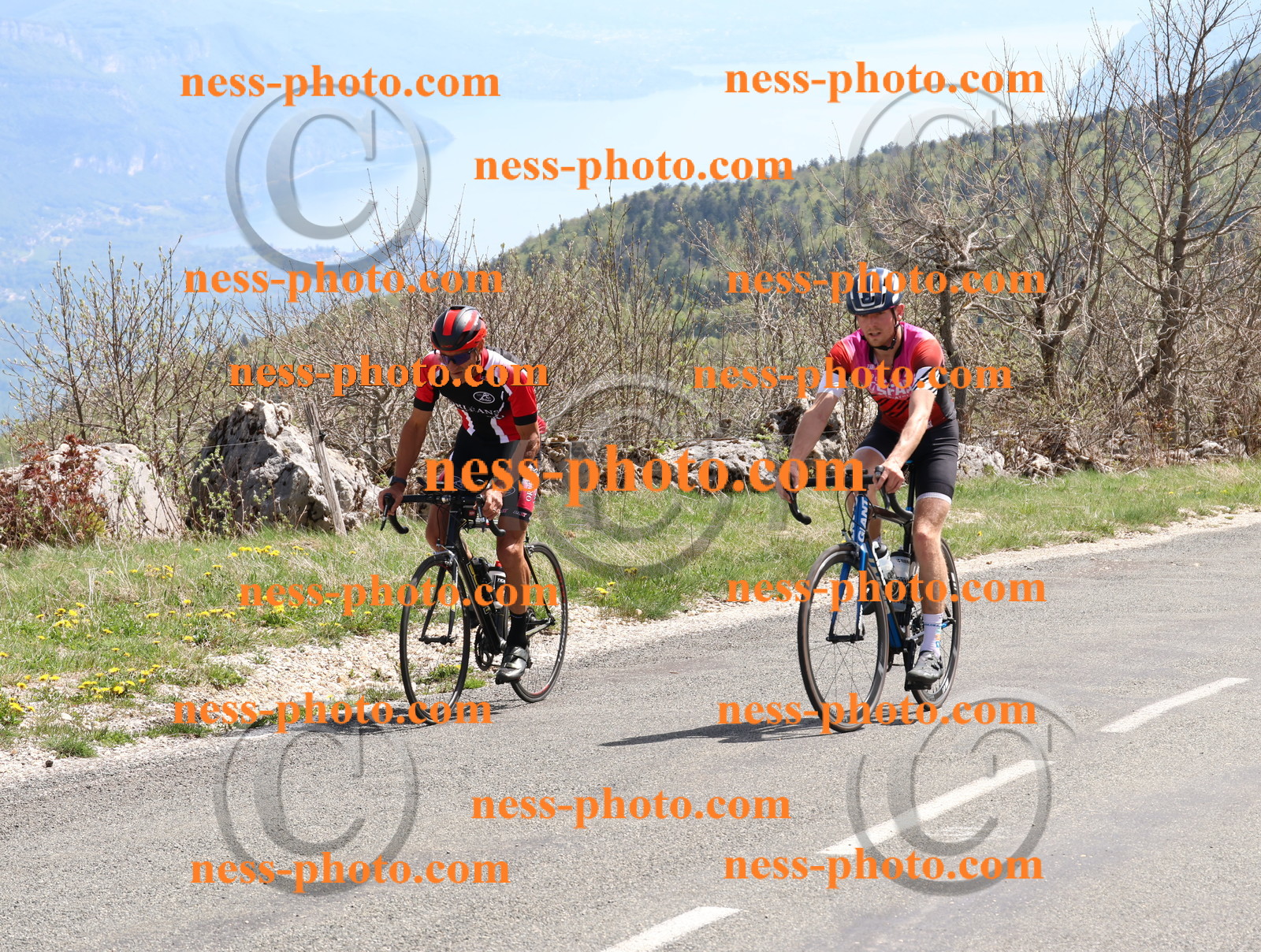 Col du Grand Colombier (899).JPG