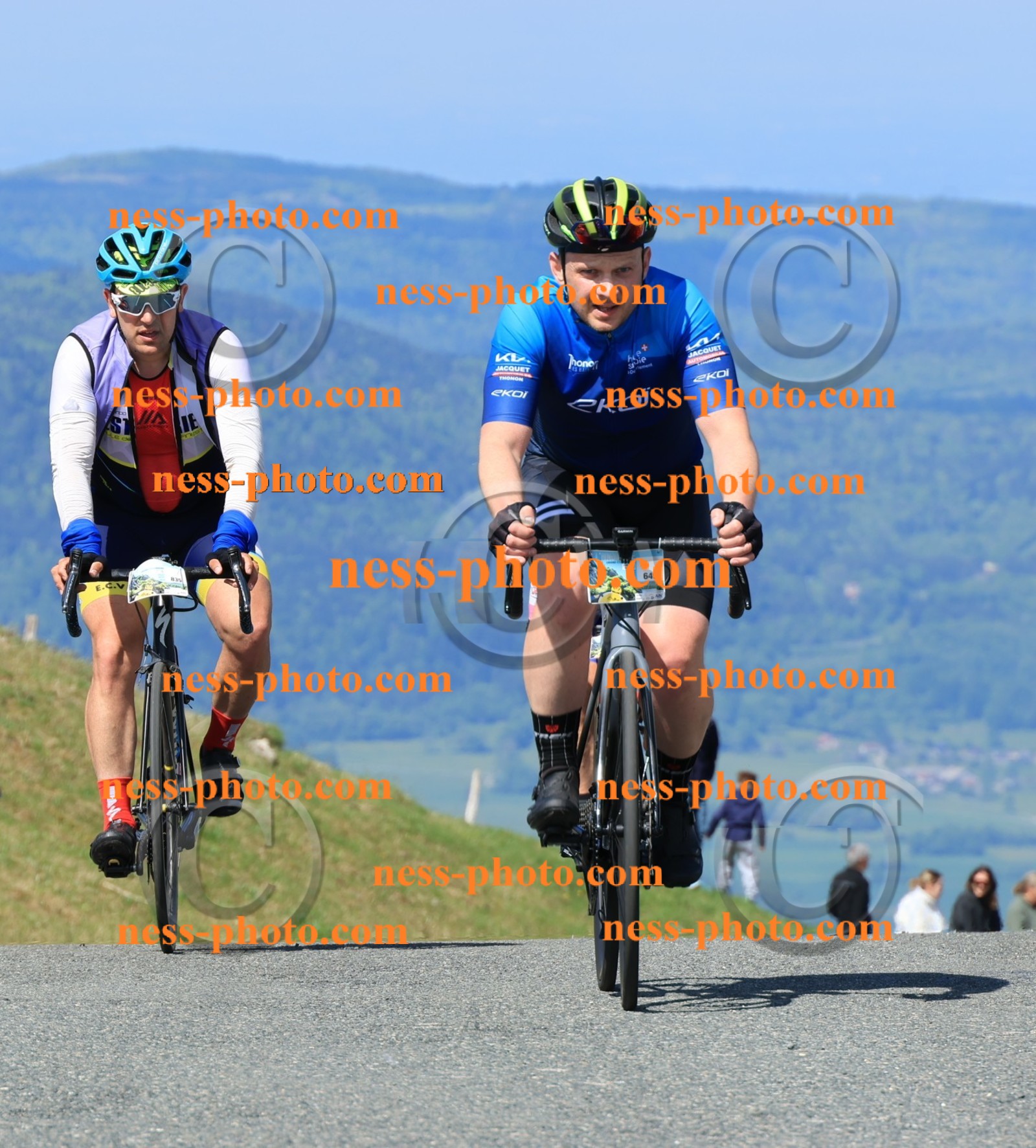 Col du Grand Colombier (571).JPG
