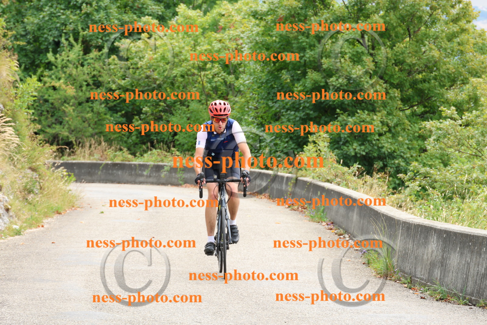 Col du Grand Colombier (96).JPG