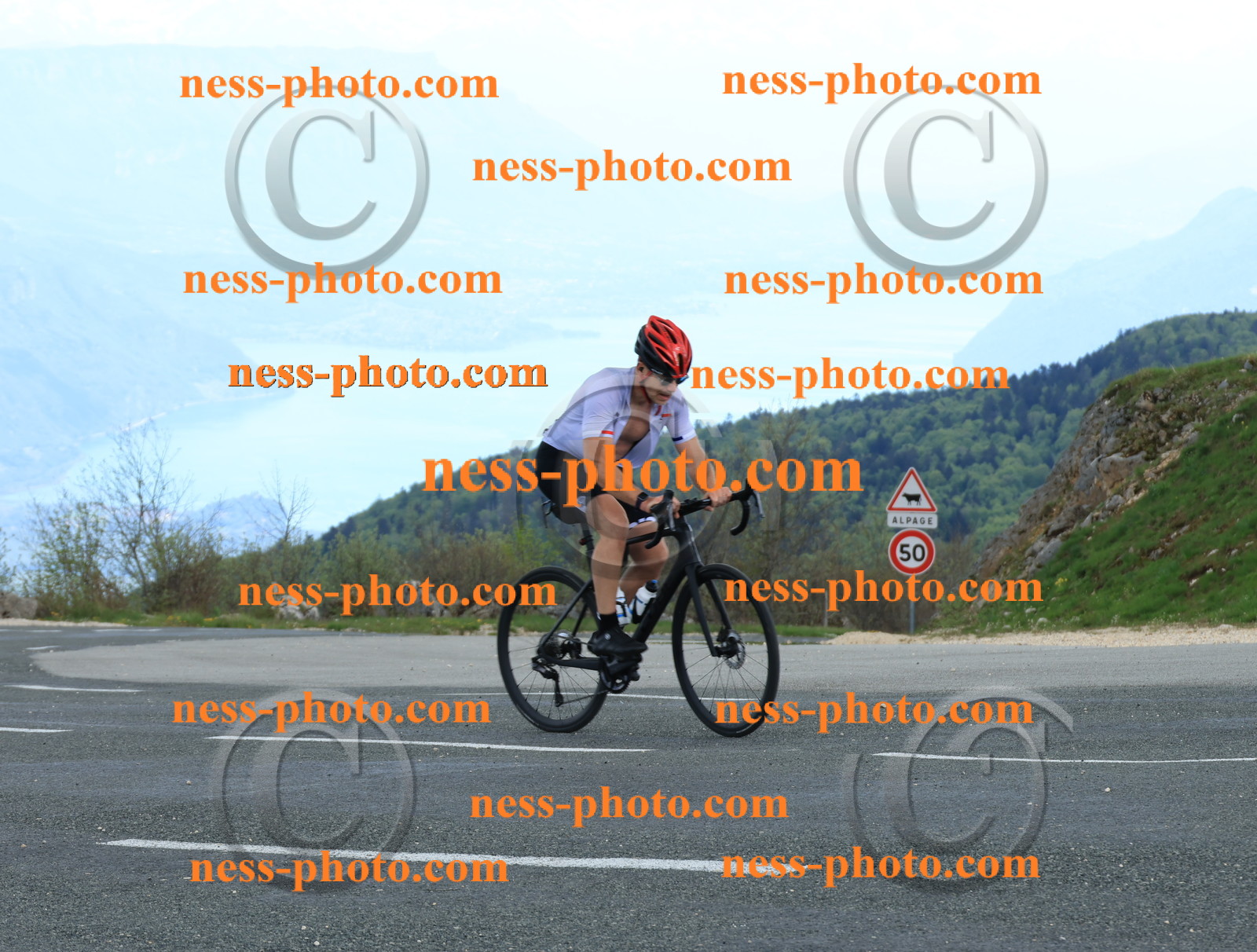 Col du grand Colombier (620).JPG