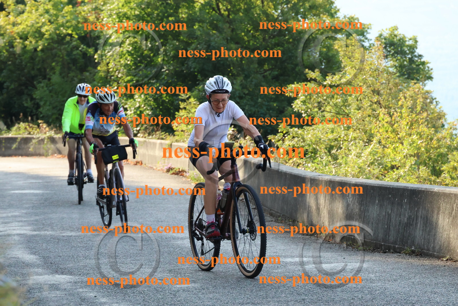 Col du Grand Colombier (155).JPG