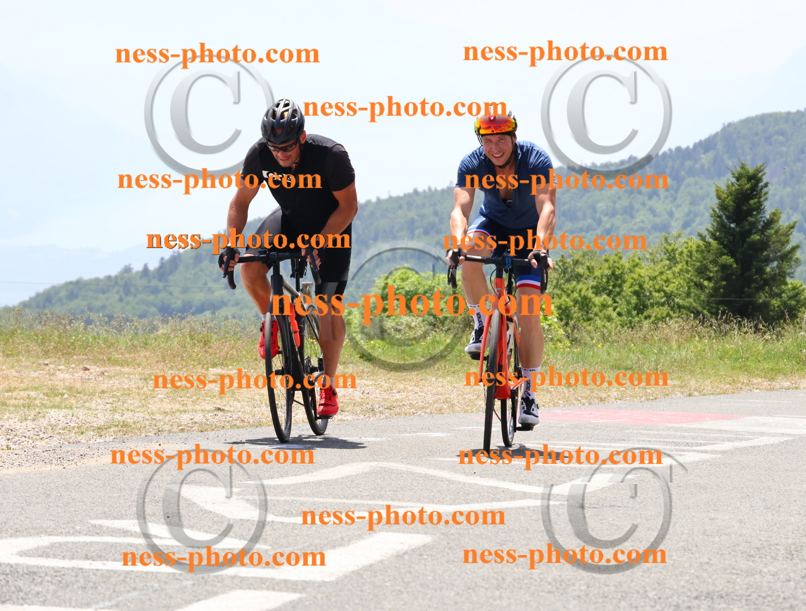 Col du grand Colombier (2852).JPG