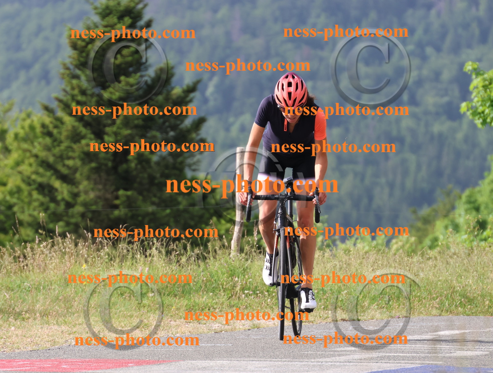 Col du grand Colombier (45).JPG