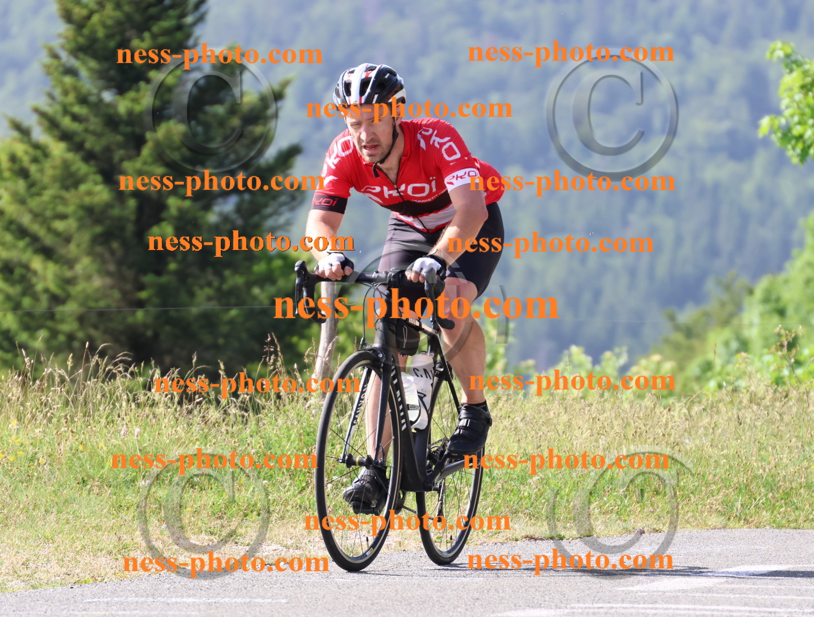 Col du grand Colombier (252).JPG