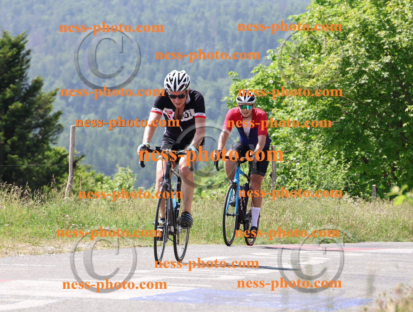 Col du grand Colombier (1596).JPG