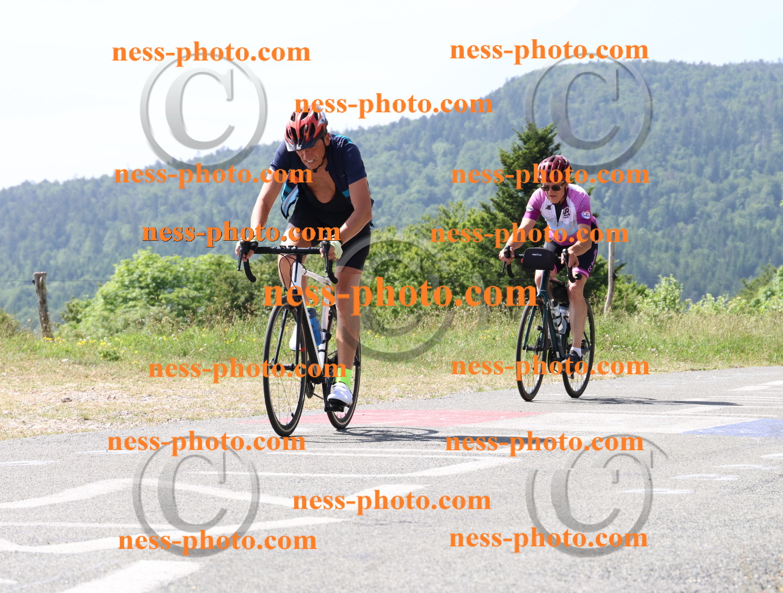 Col du grand Colombier (1200).JPG