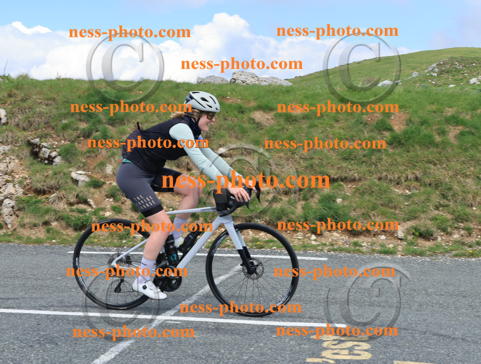 Col du Grand Colombier (2635).JPG