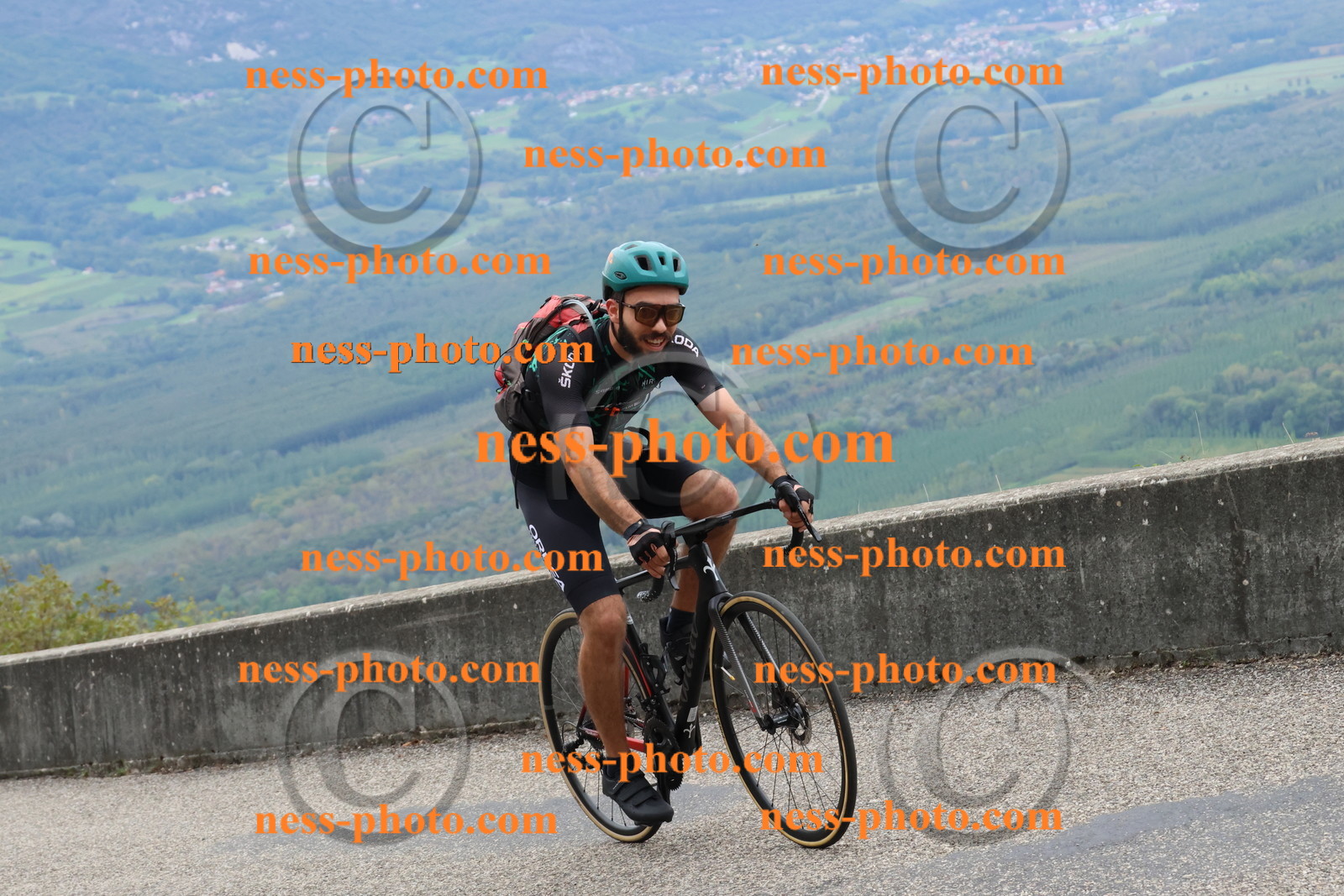 Col du Grand Colombier (1483).JPG