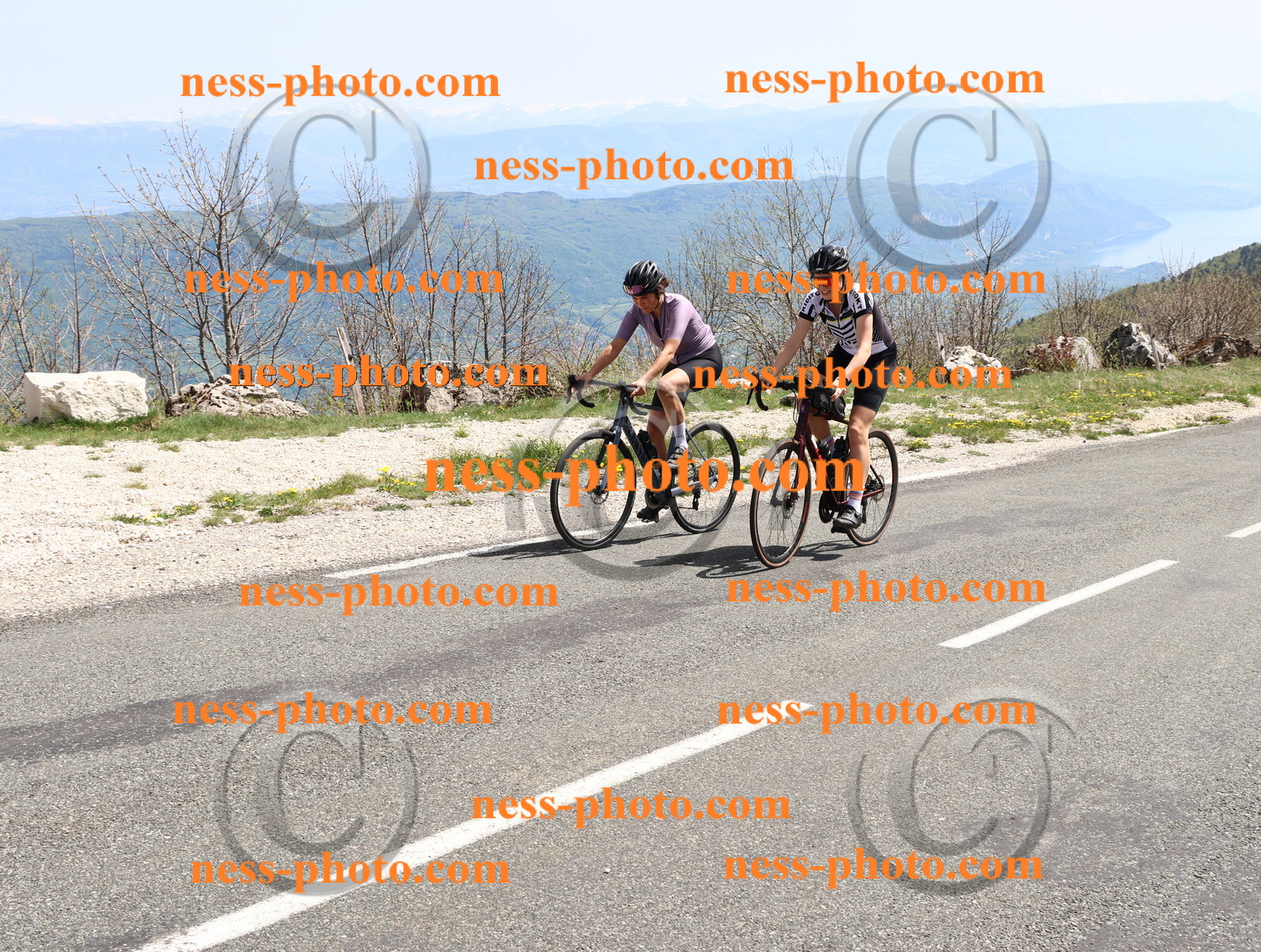 Col du Grand Colombier (872).JPG