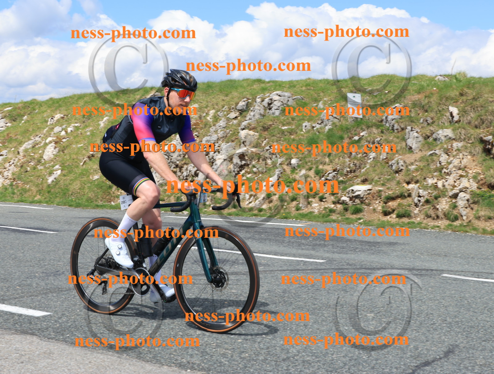 Col du Grand Colombier (2581).JPG