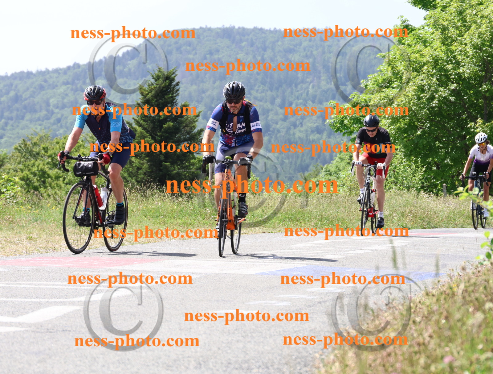 Col du grand Colombier (1657).JPG
