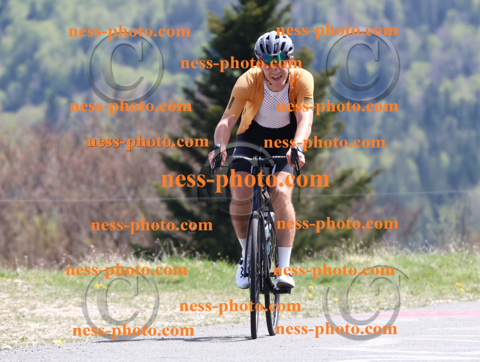 Col du Grand Colombier (940).JPG