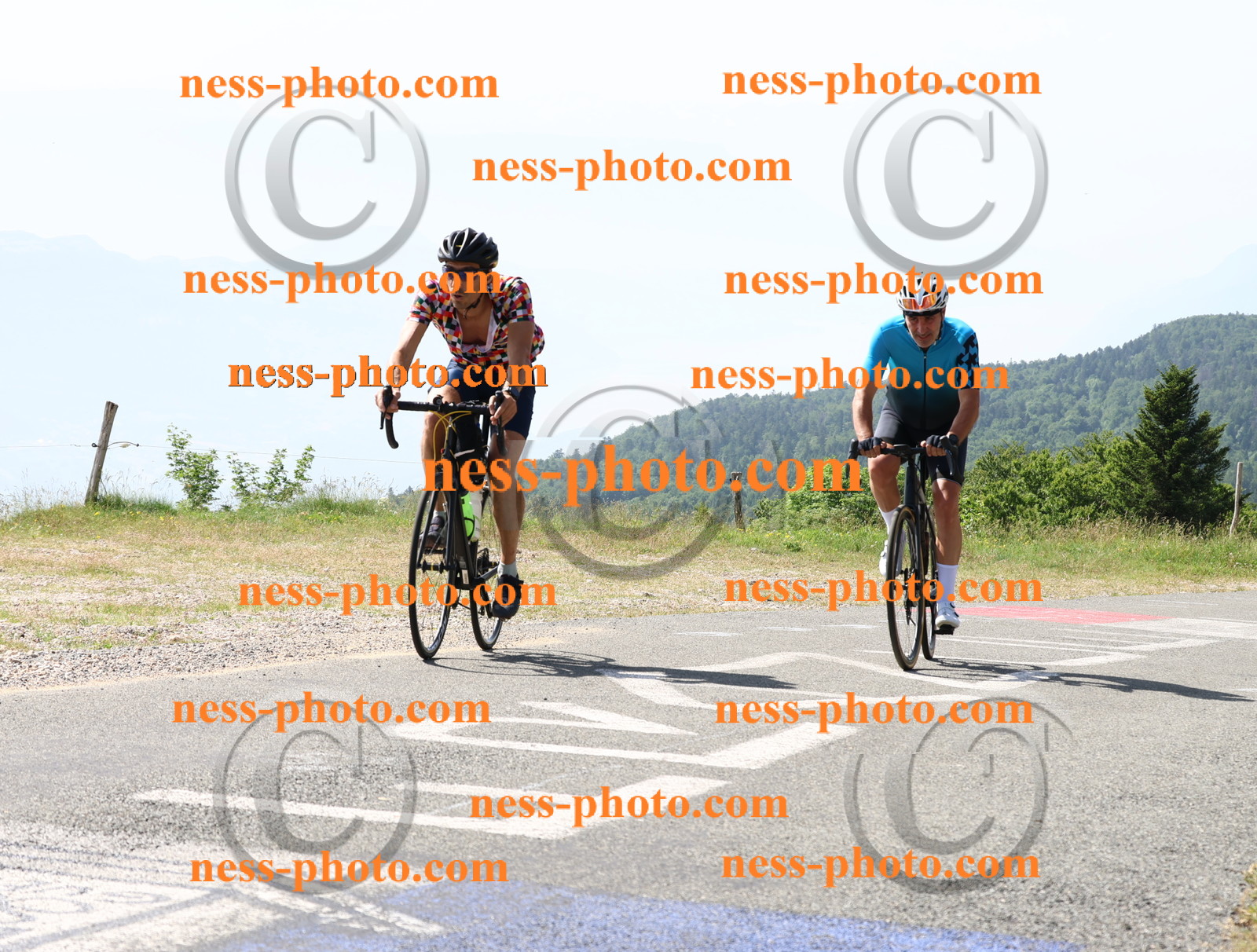 Col du grand Colombier (857).JPG