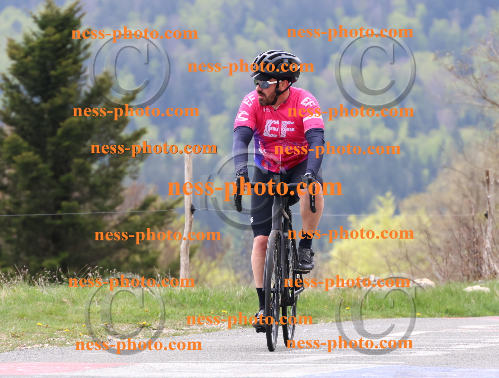 Col du Grand Colombier (117).JPG