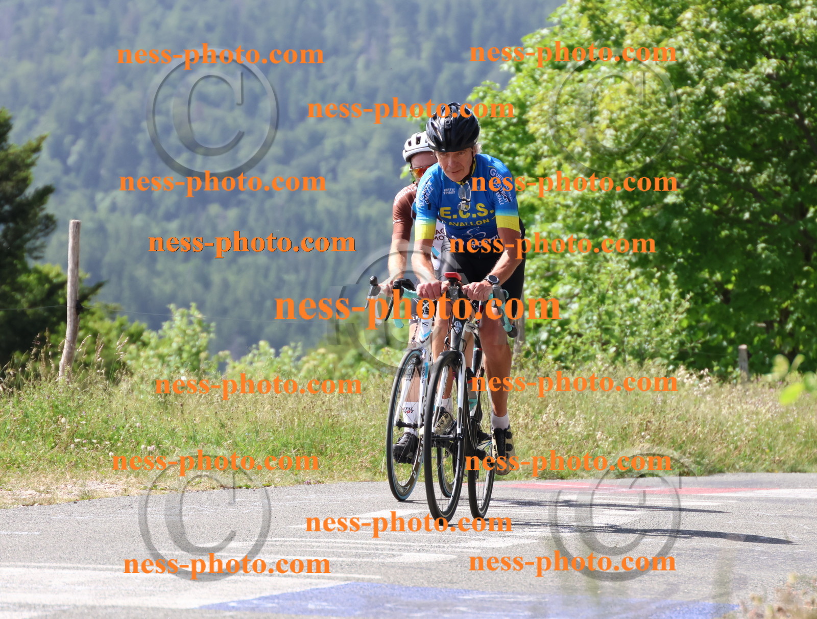 Col du grand Colombier (1067).JPG