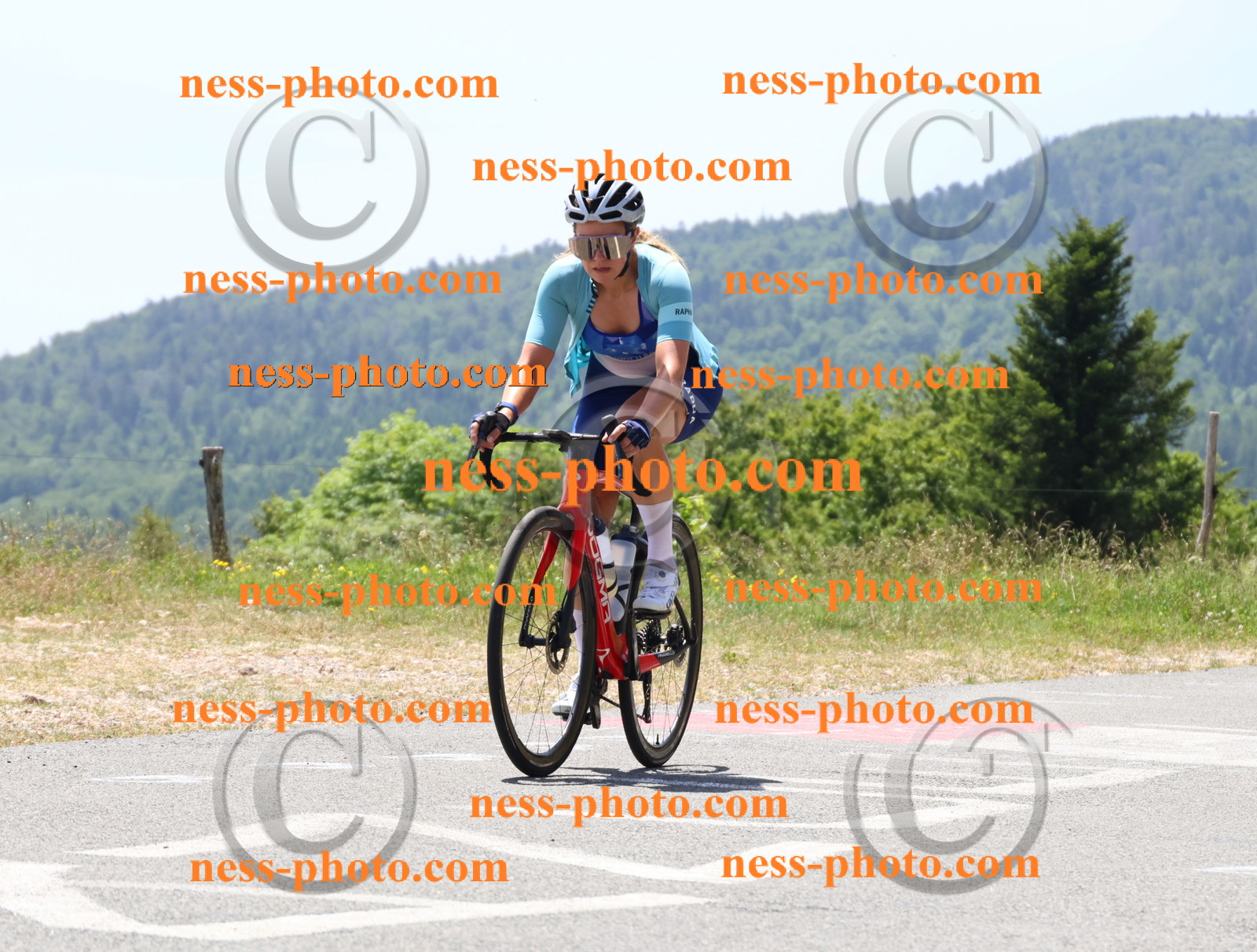 Col du grand Colombier (2671).JPG