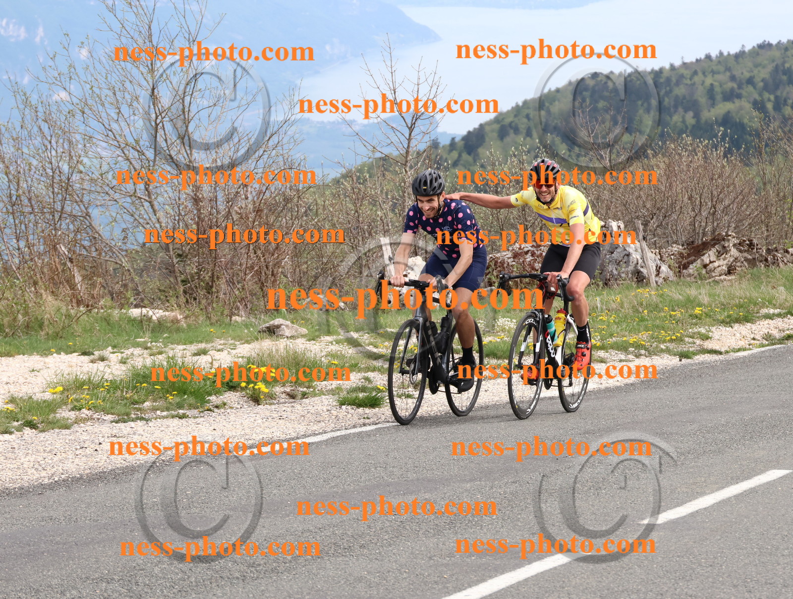 Col du Grand Colombier (1155).JPG