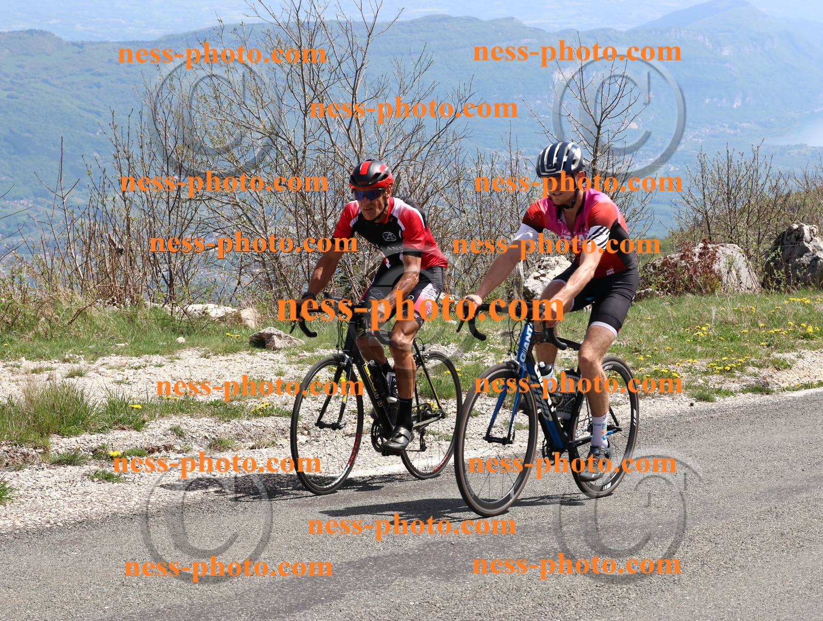 Col du Grand Colombier (901).JPG