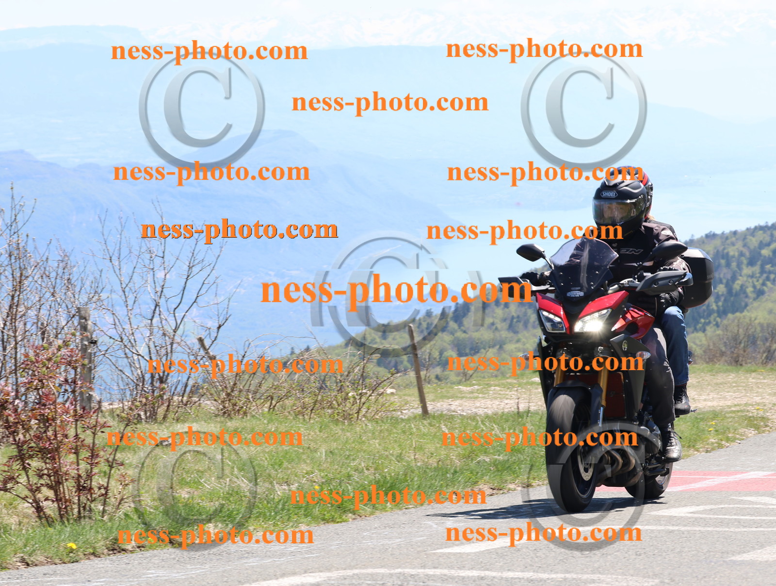 Col du Grand Colombier (119).JPG