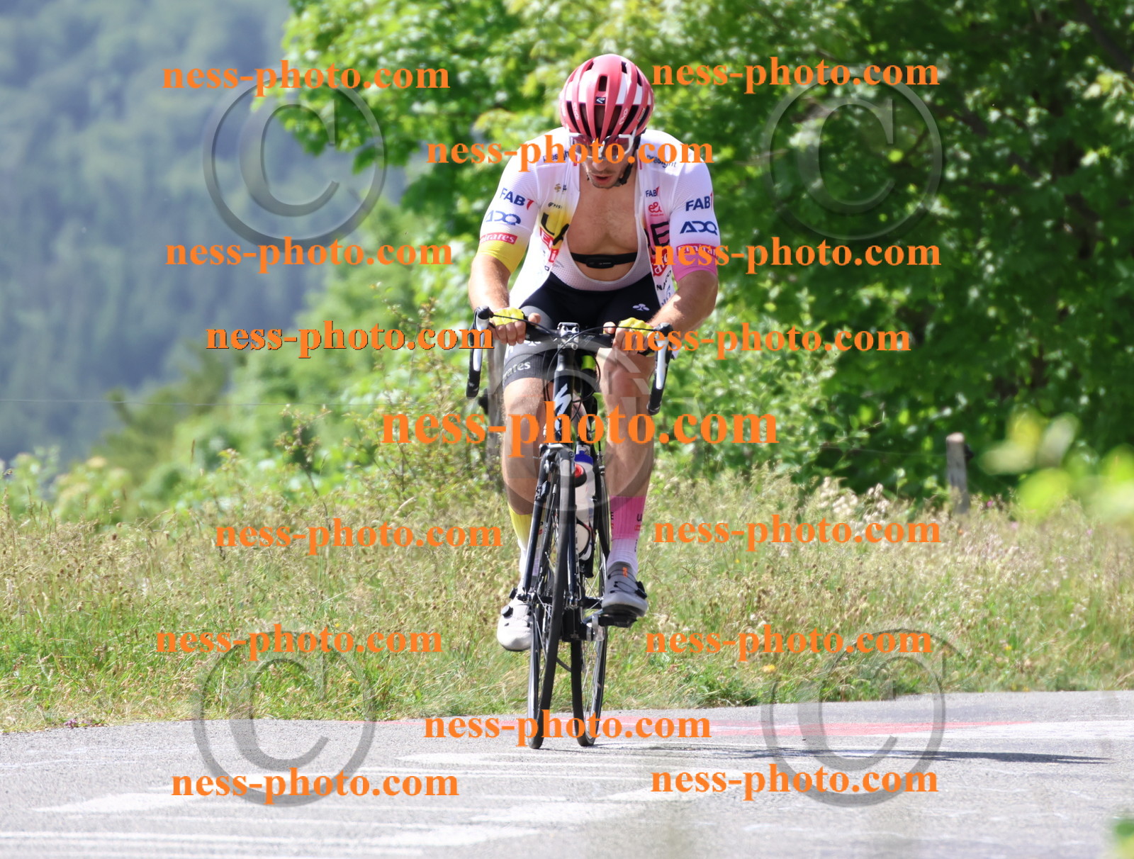 Col du grand Colombier (1355).JPG