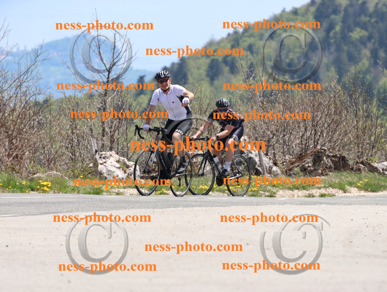 Col du Grand Colombier (794).JPG