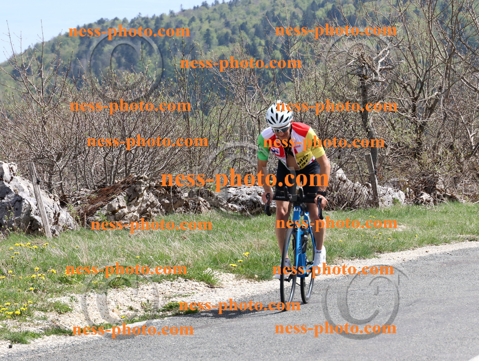 Col du Grand Colombier (998).JPG