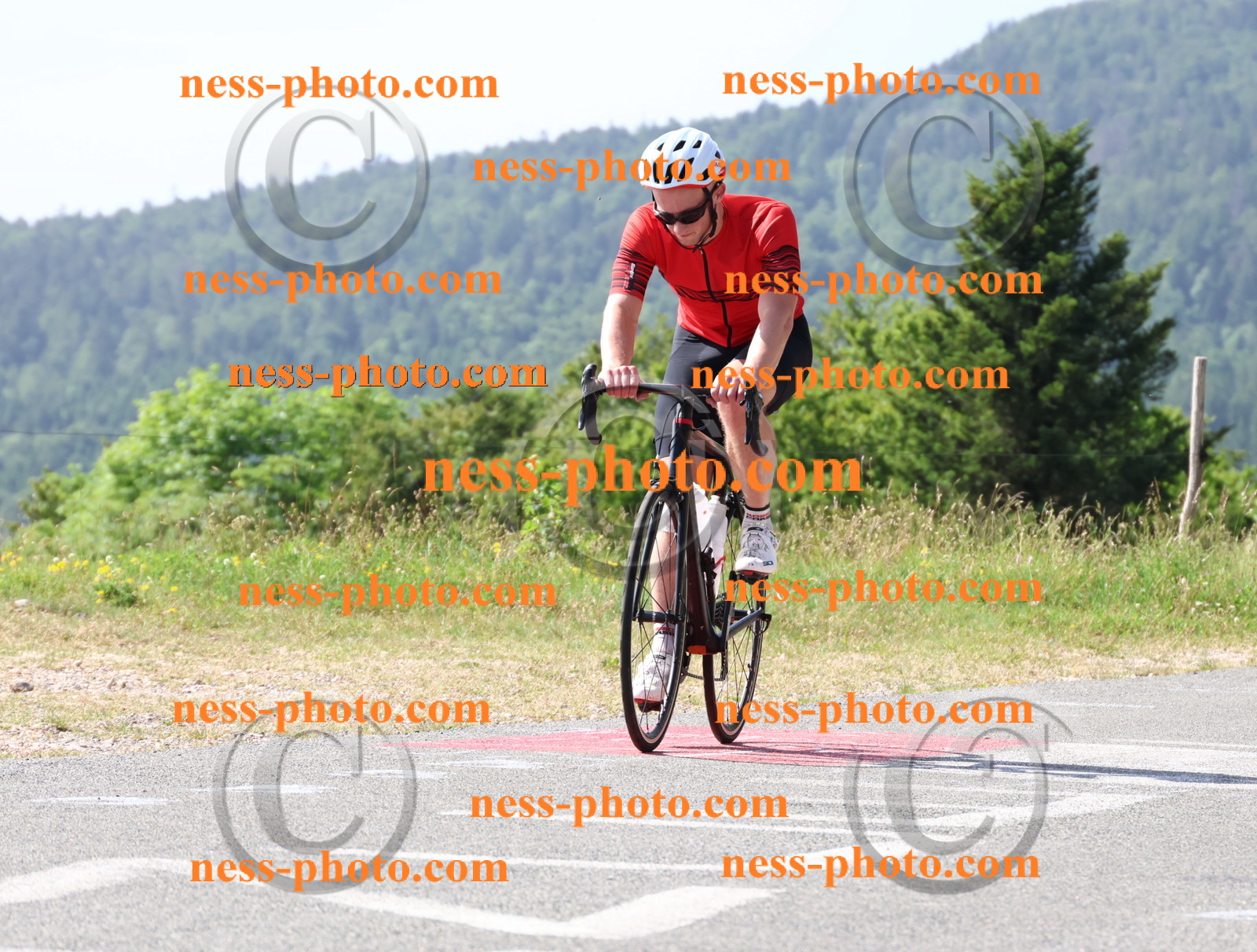 Col du grand Colombier (593).JPG