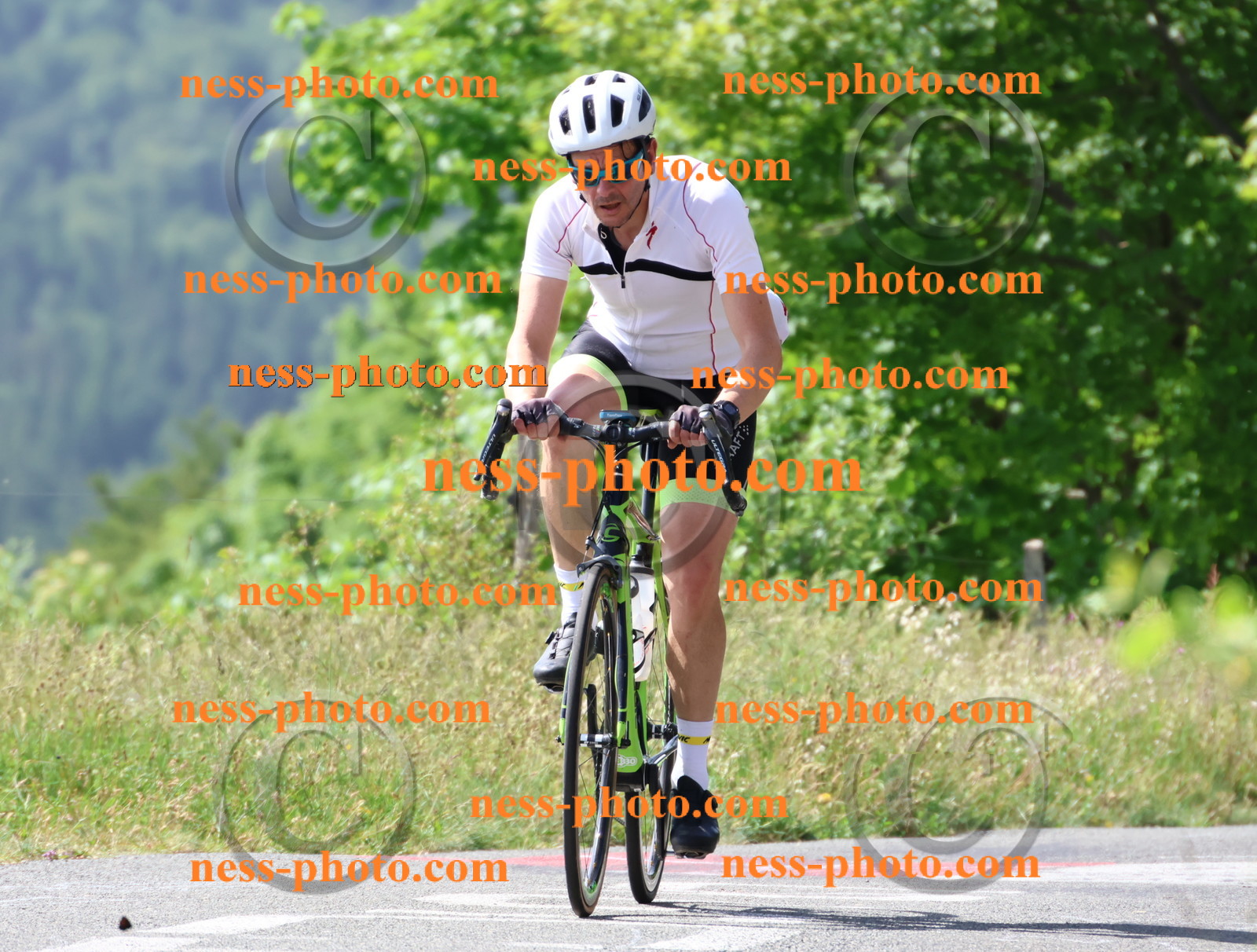 Col du grand Colombier (934).JPG