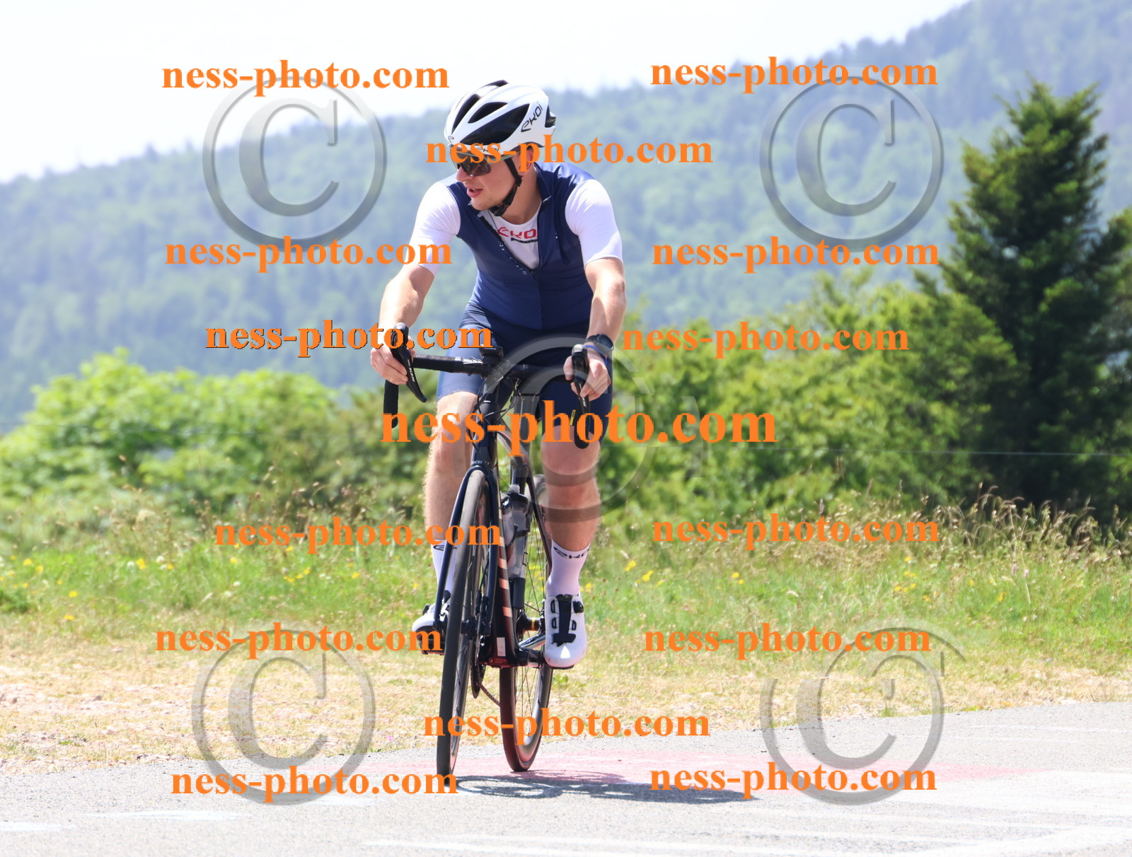 Col du grand Colombier (2427).JPG