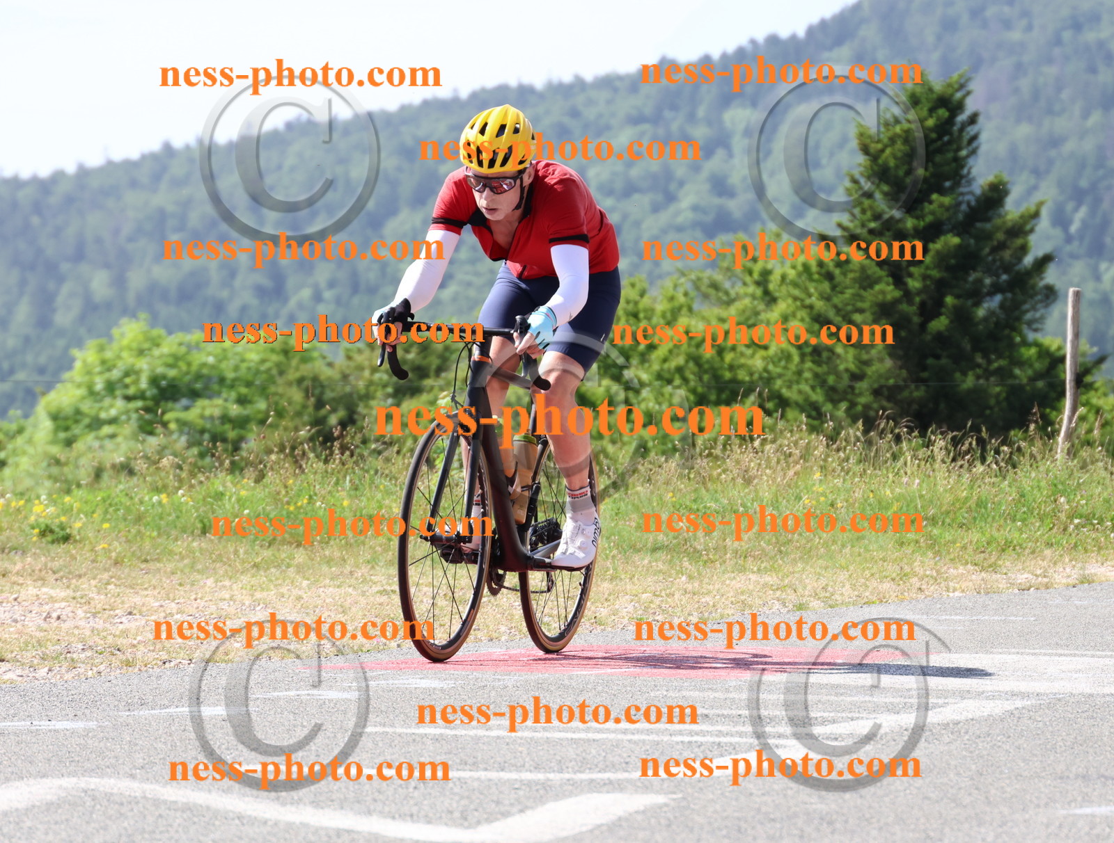 Col du grand Colombier (744).JPG