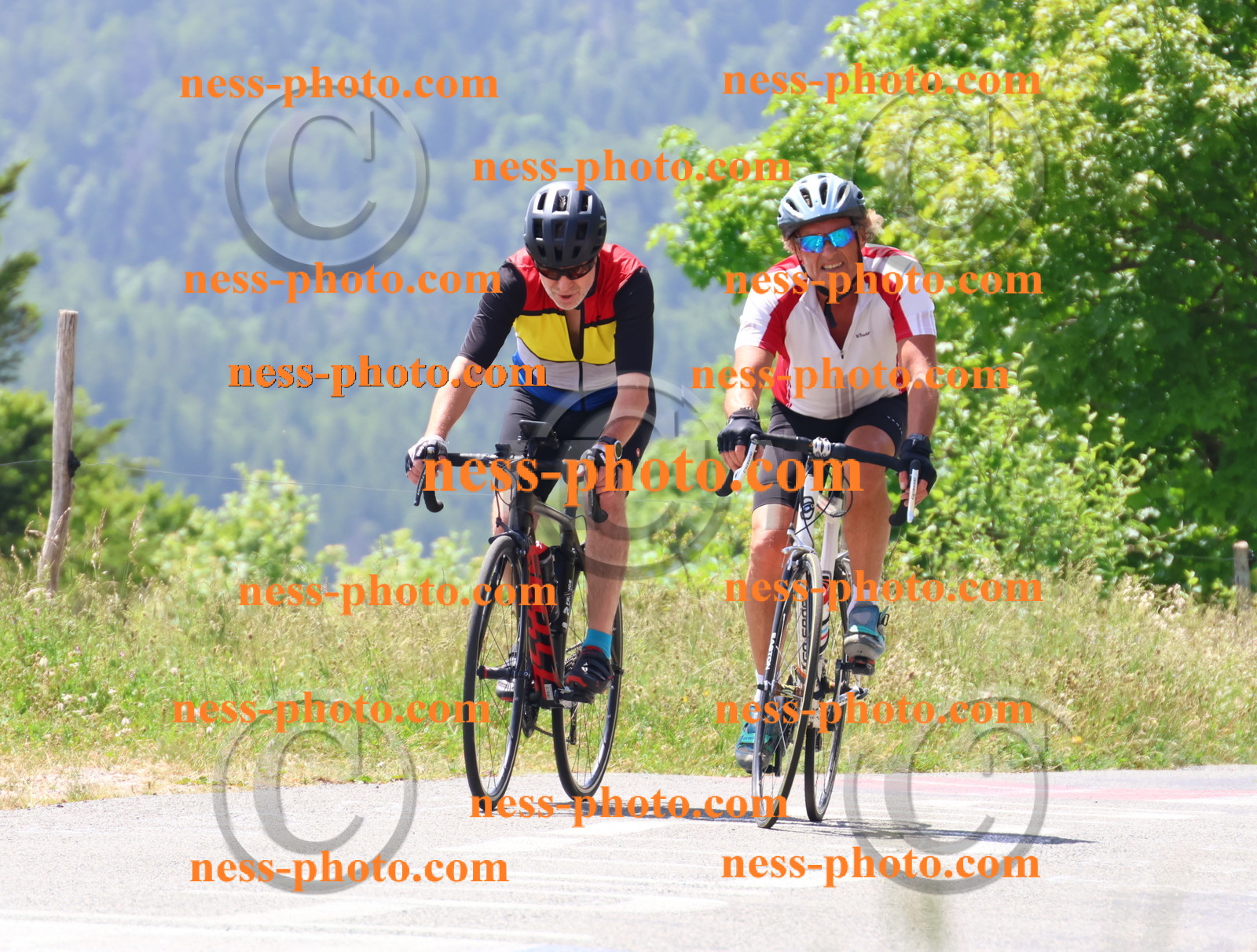 Col du grand Colombier (2472).JPG