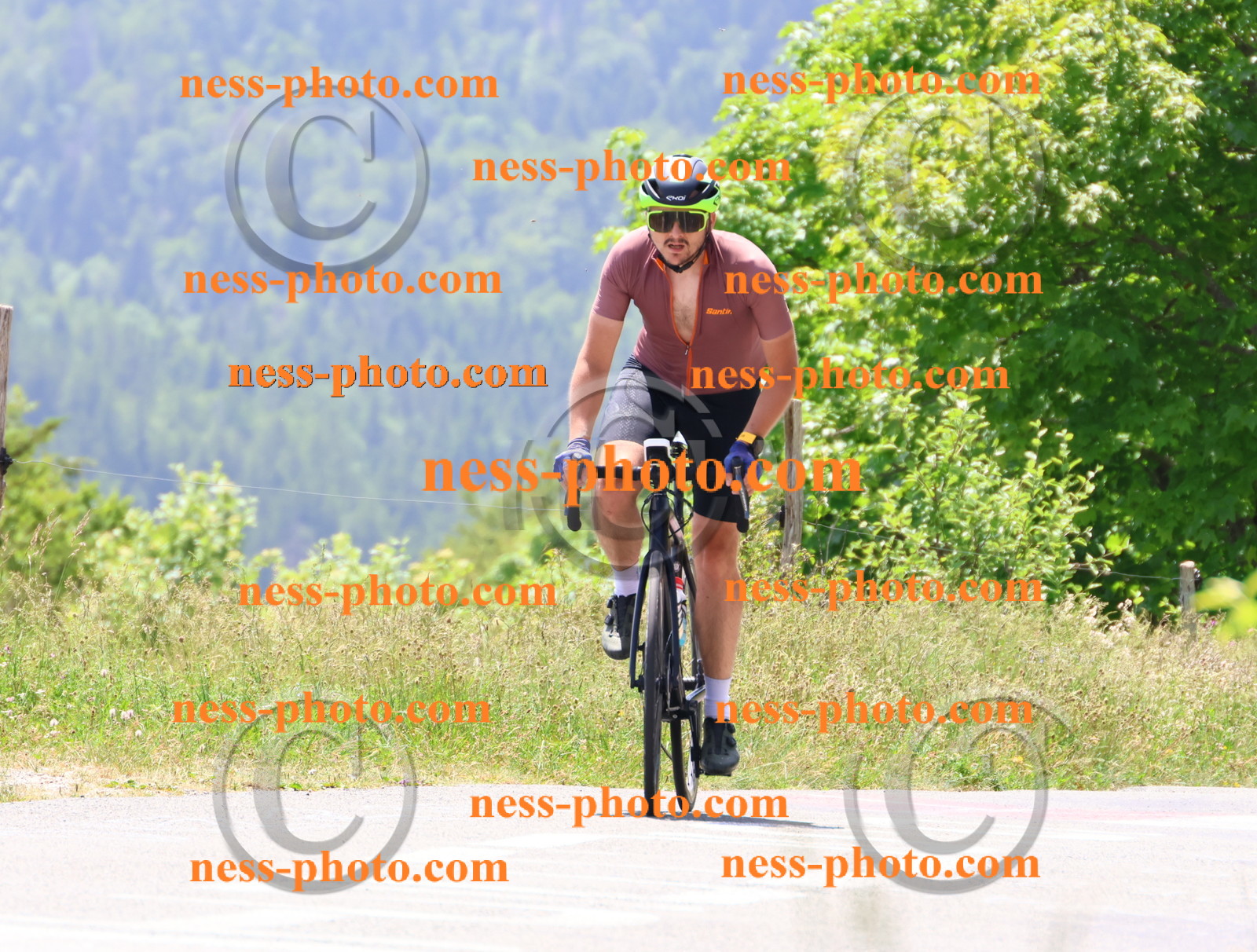 Col du grand Colombier (2834).JPG