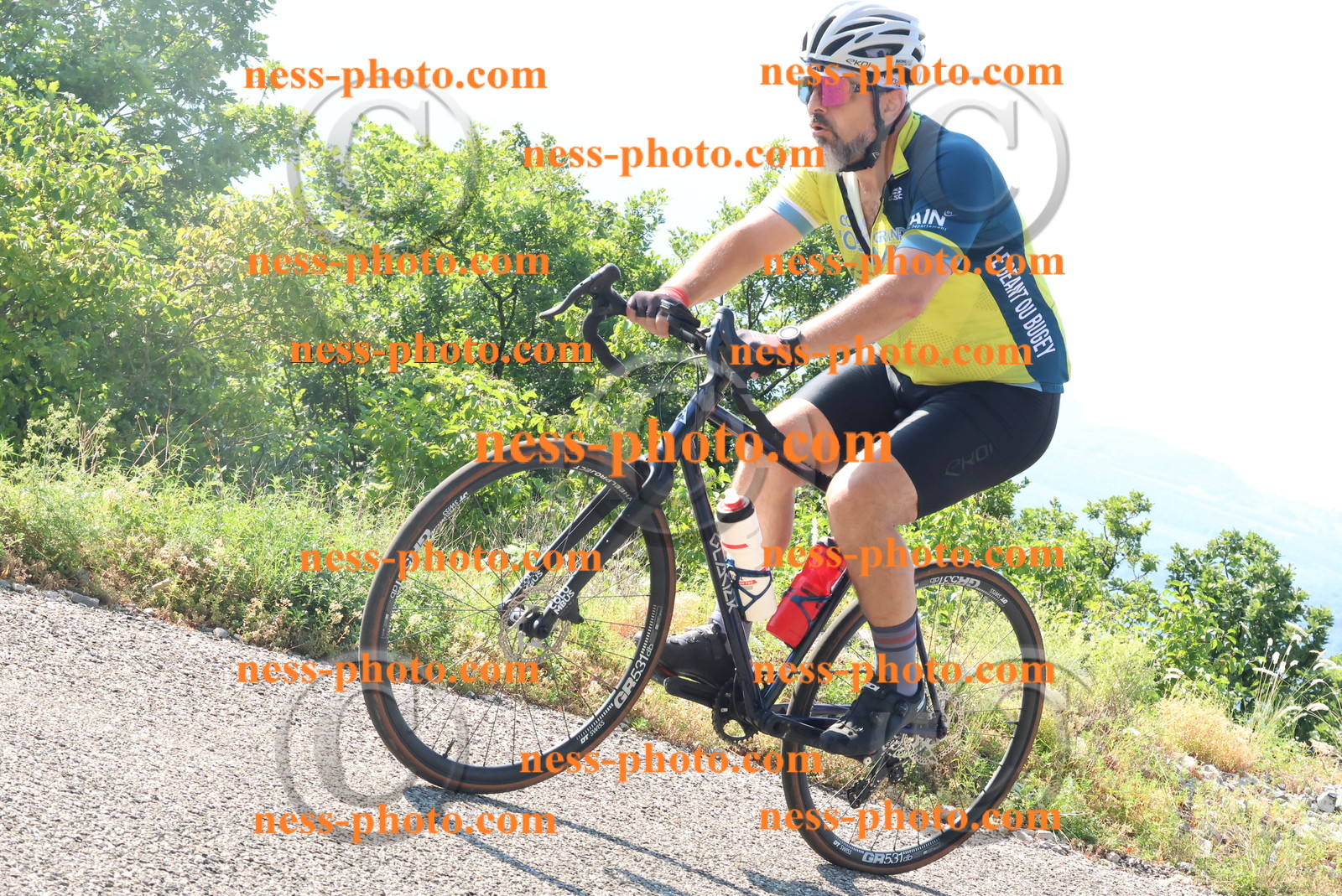 Col du Grand Colombier (155).JPG