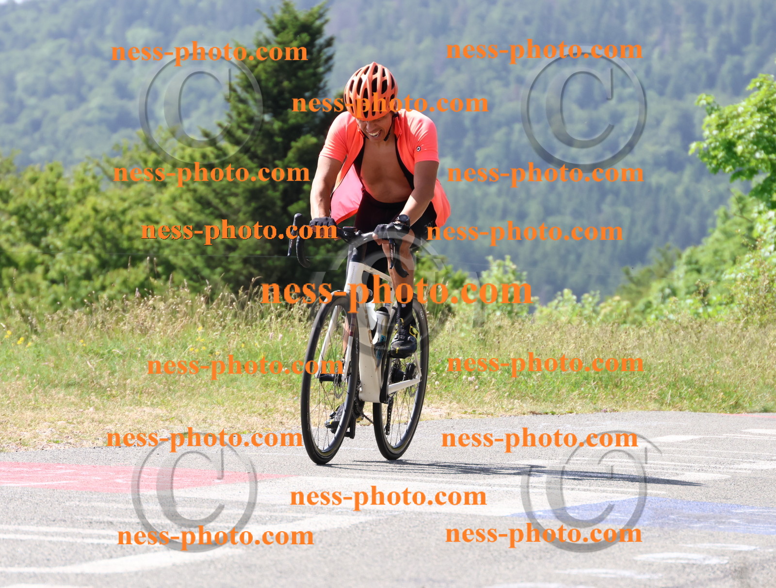 Col du grand Colombier (965).JPG