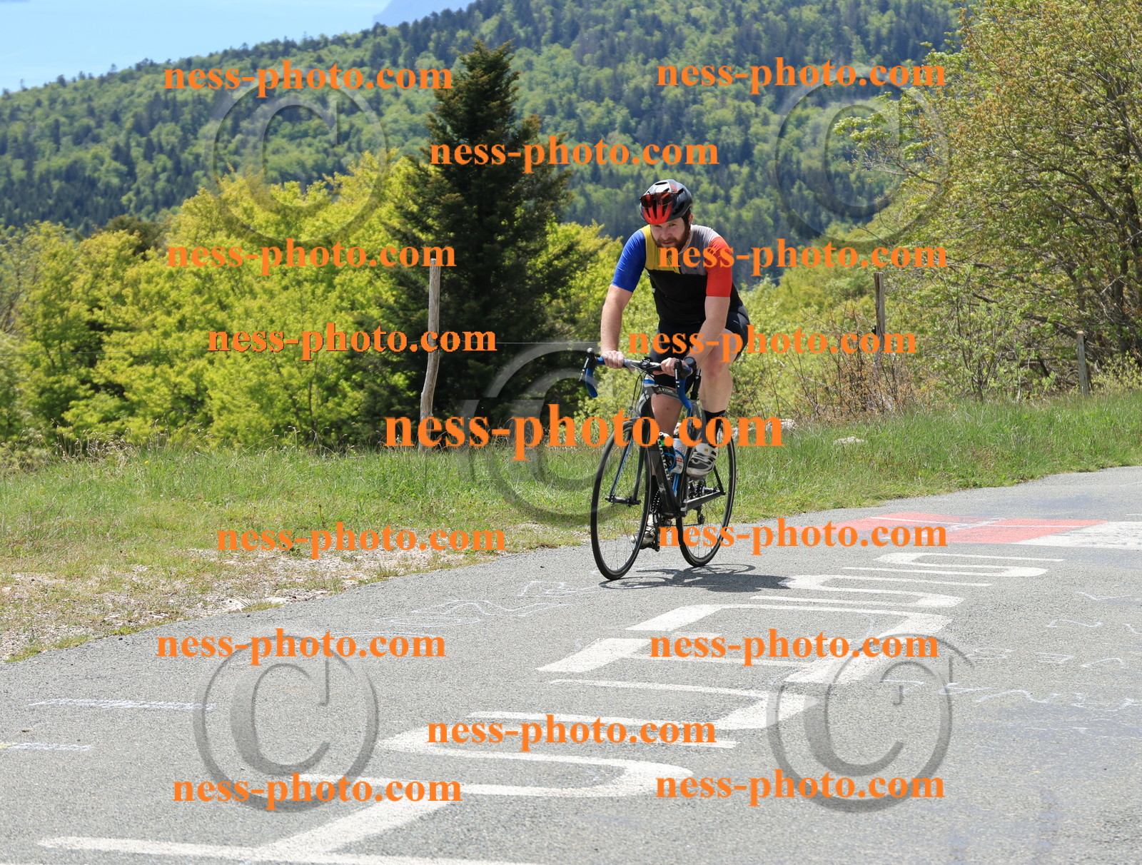 Col du Grand Colombier (314).JPG