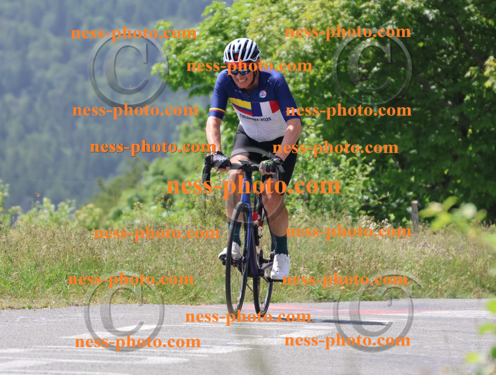 Col du grand Colombier (2168).JPG