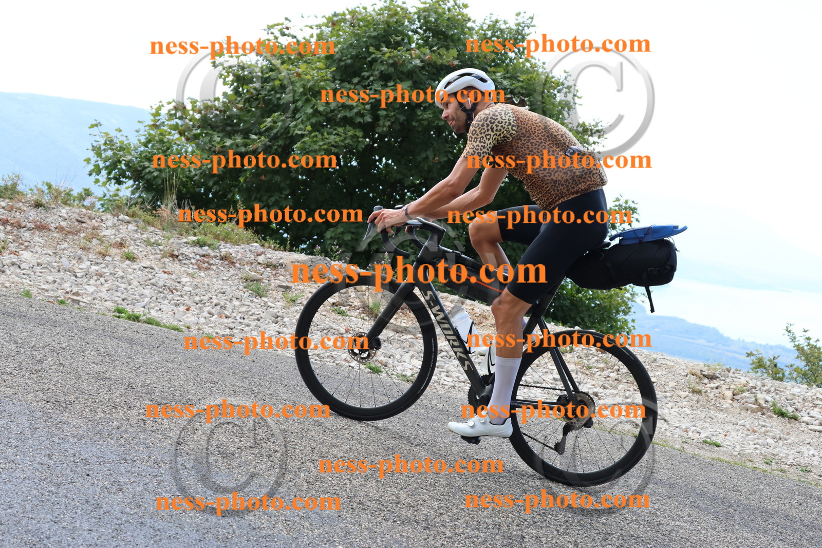 Col du Grand Colombier (113).JPG