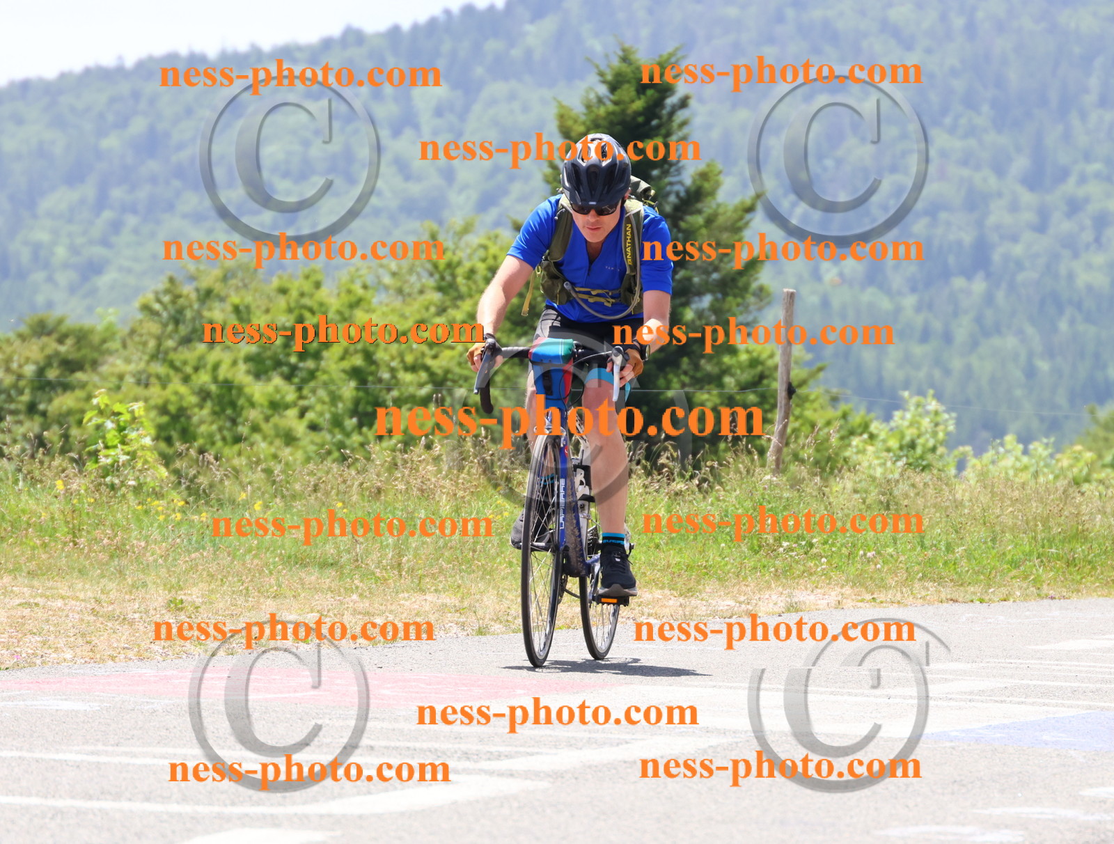 Col du grand Colombier (2784).JPG