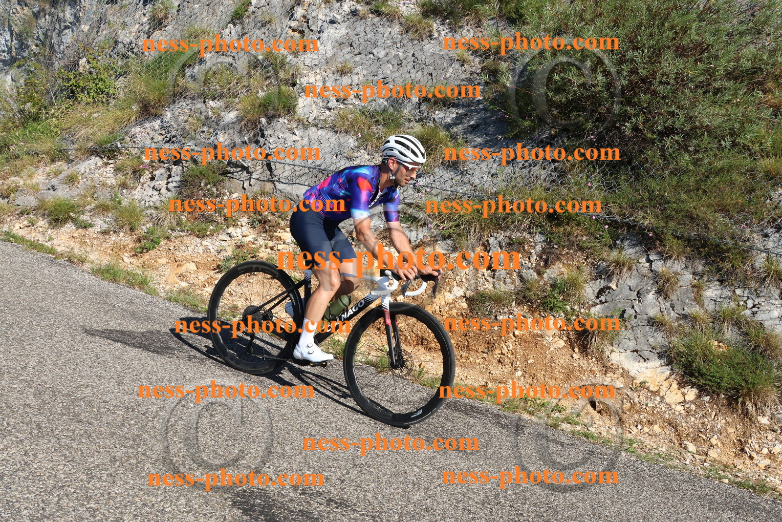 Col du Grand Colombier (187).JPG