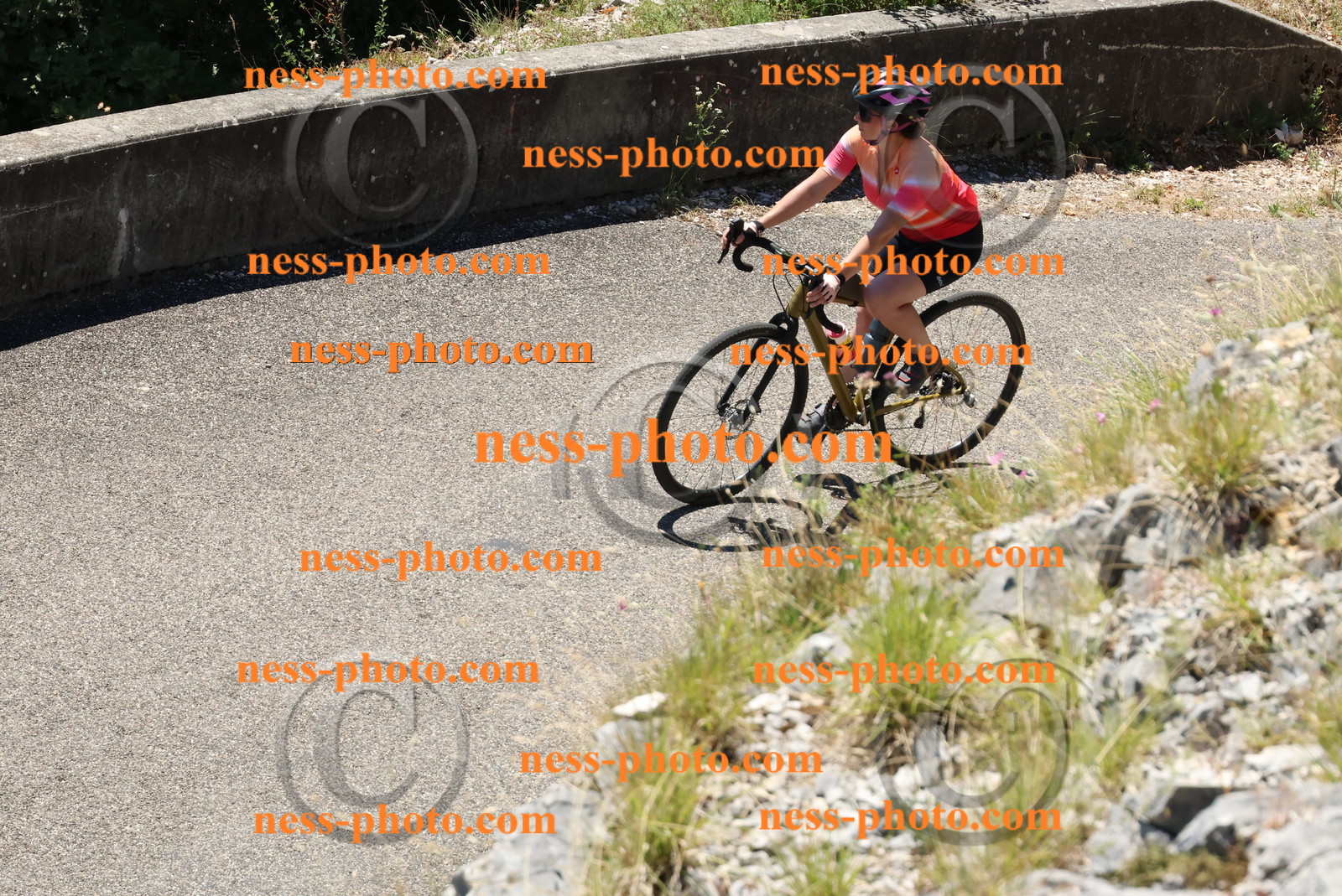 Col du Grand Colombier (688).JPG