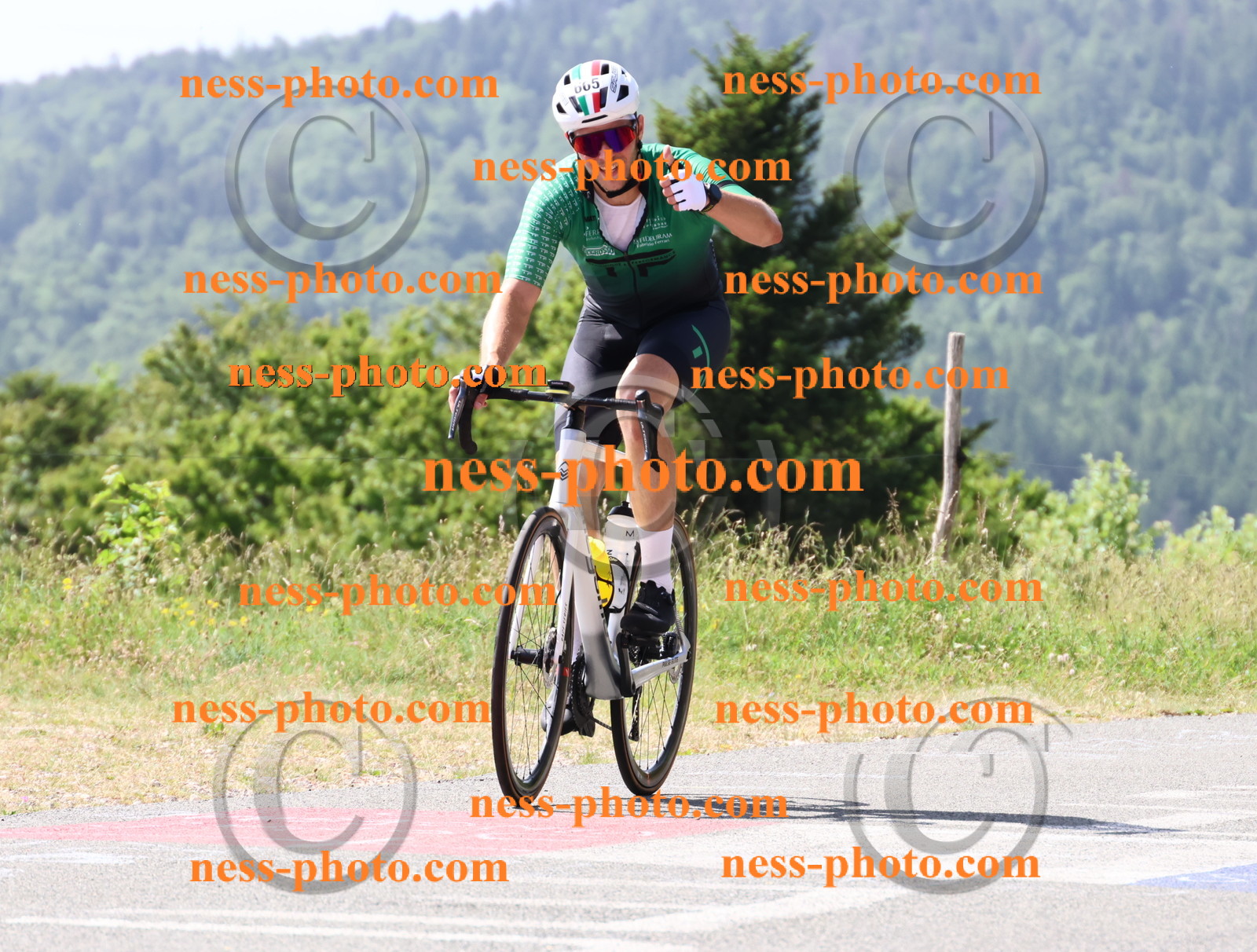 Col du grand Colombier (1236).JPG