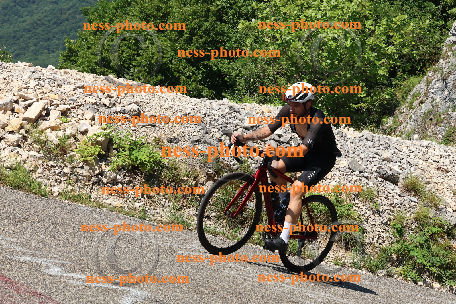 Col du Grand Colombier (318).JPG