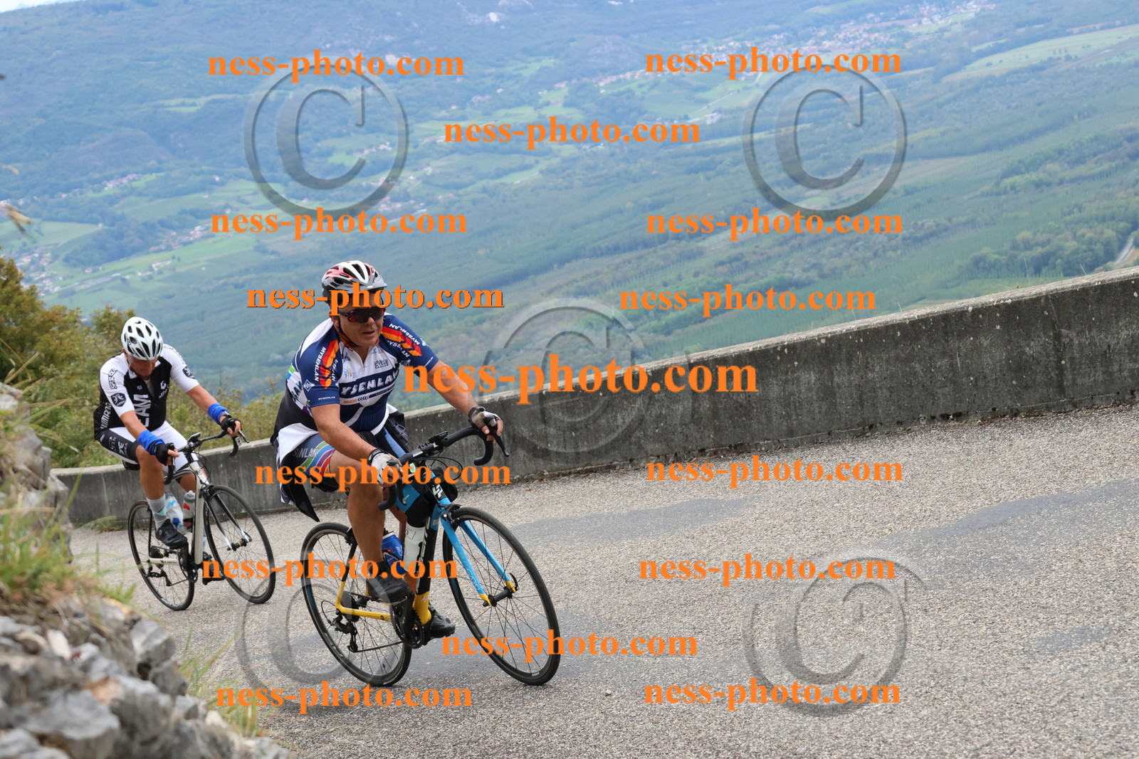 Col du Grand Colombier (1341).JPG