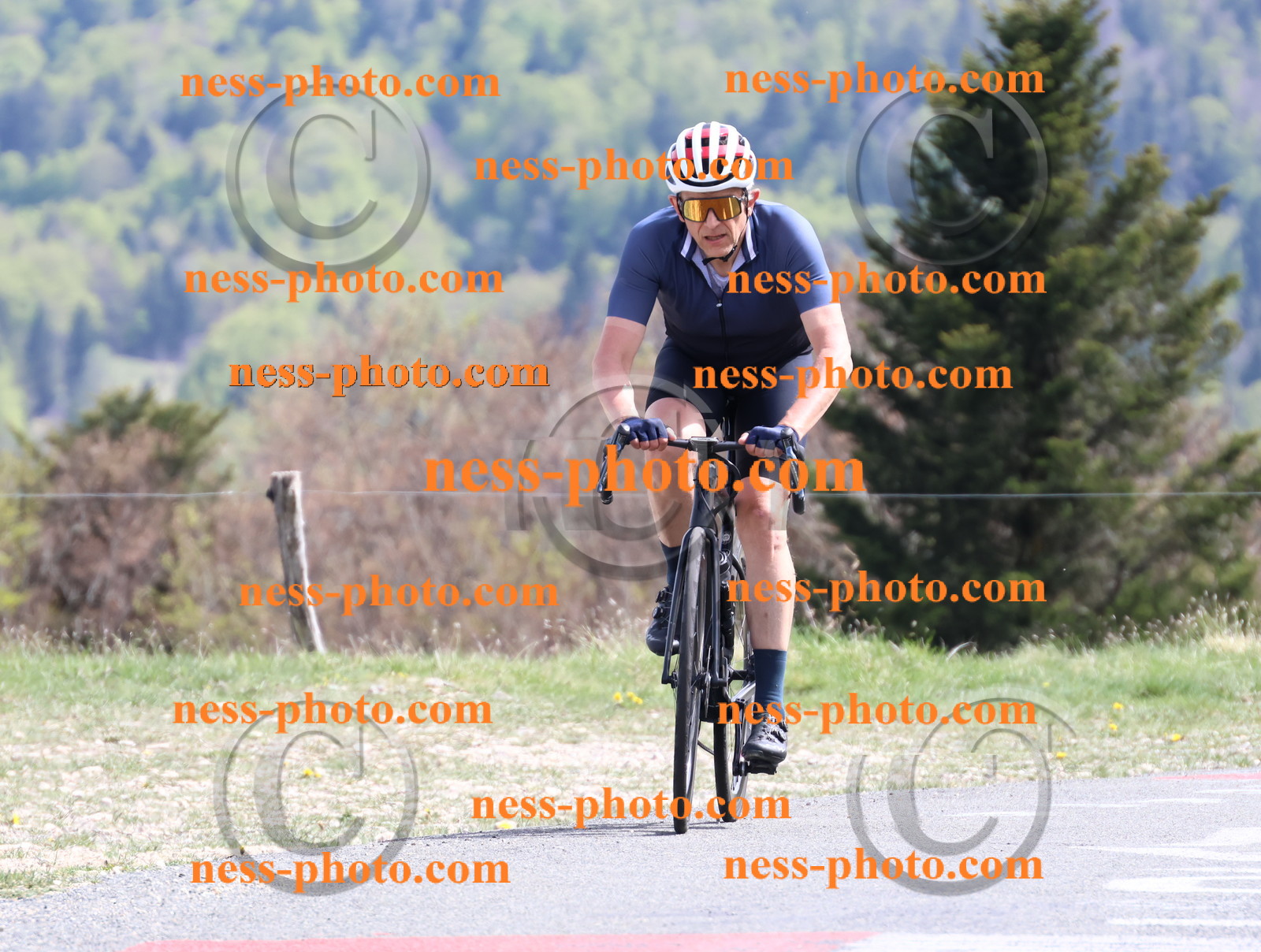 Col du Grand Colombier (1040).JPG